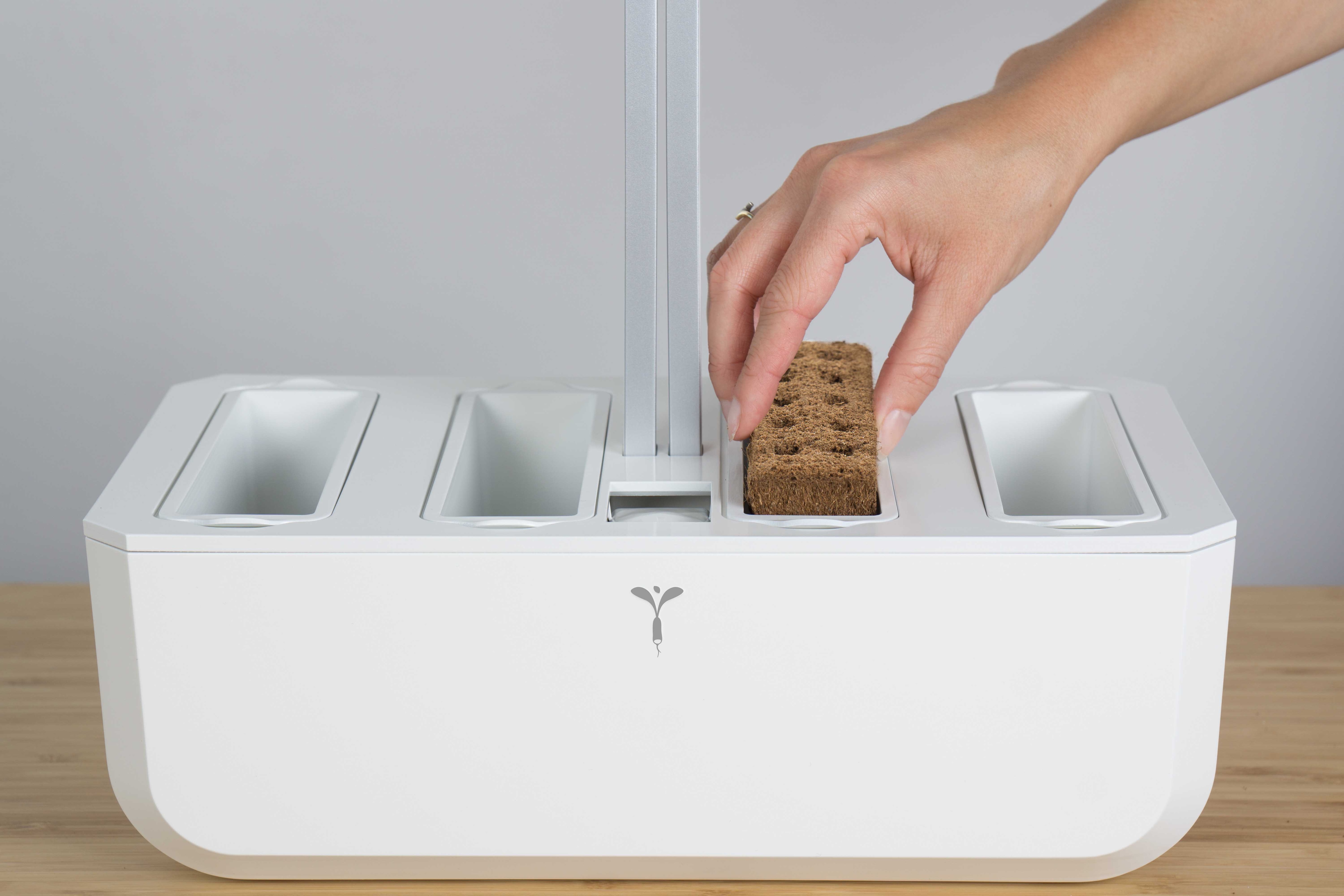 Lingot® de Legumes Véritable® Mostarda Verde Orgânica 2