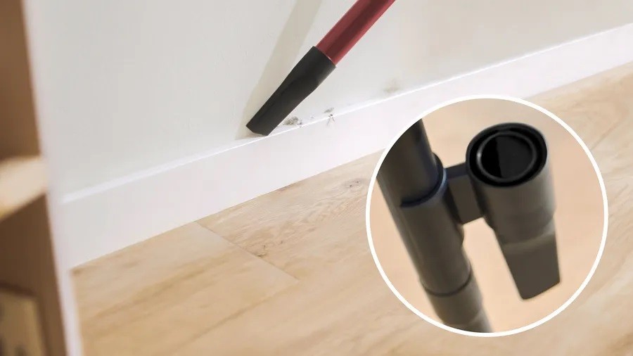 Aspirador sem Saco Bosch Serie 8 ProPower BGS7POW2 - Preto Preto-6