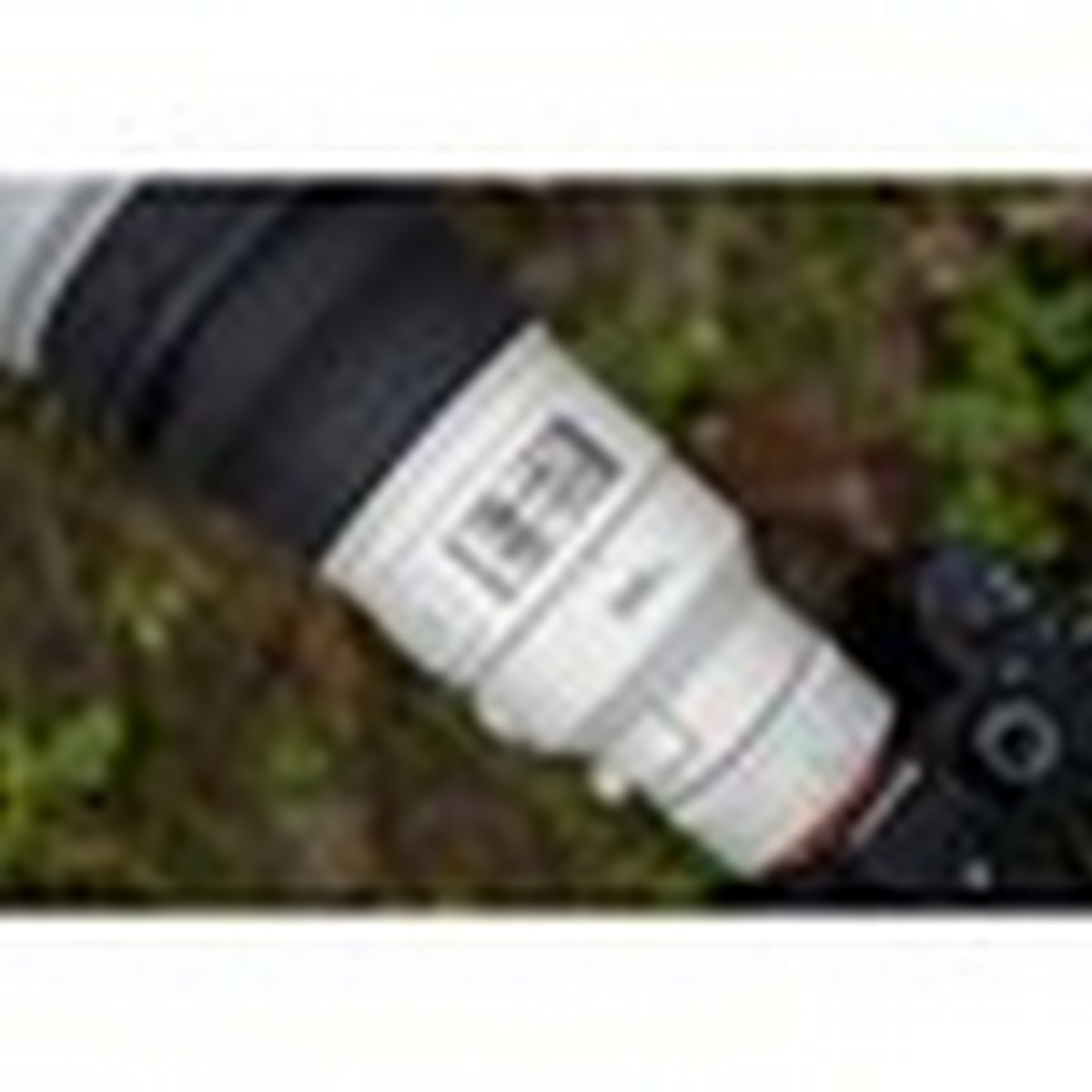 Objectiva SONY FE 300mm f/2.8 GM OSS Branco-9