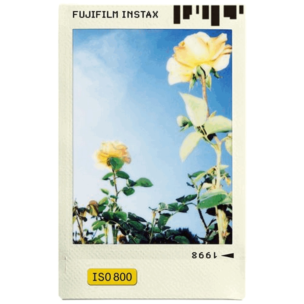 Conjunto de 10 películas para máquinas fotográficas instantâneas Fujifilm Instax Mini 5