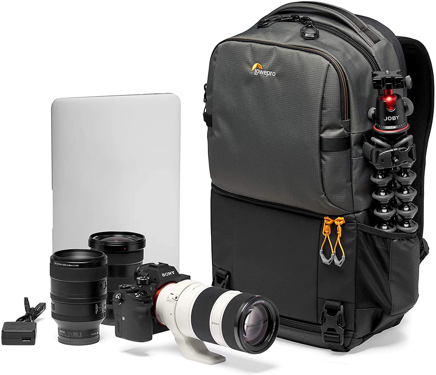 Mochila Lowepro Fastpack BP 250 AW III - Cinzento 5