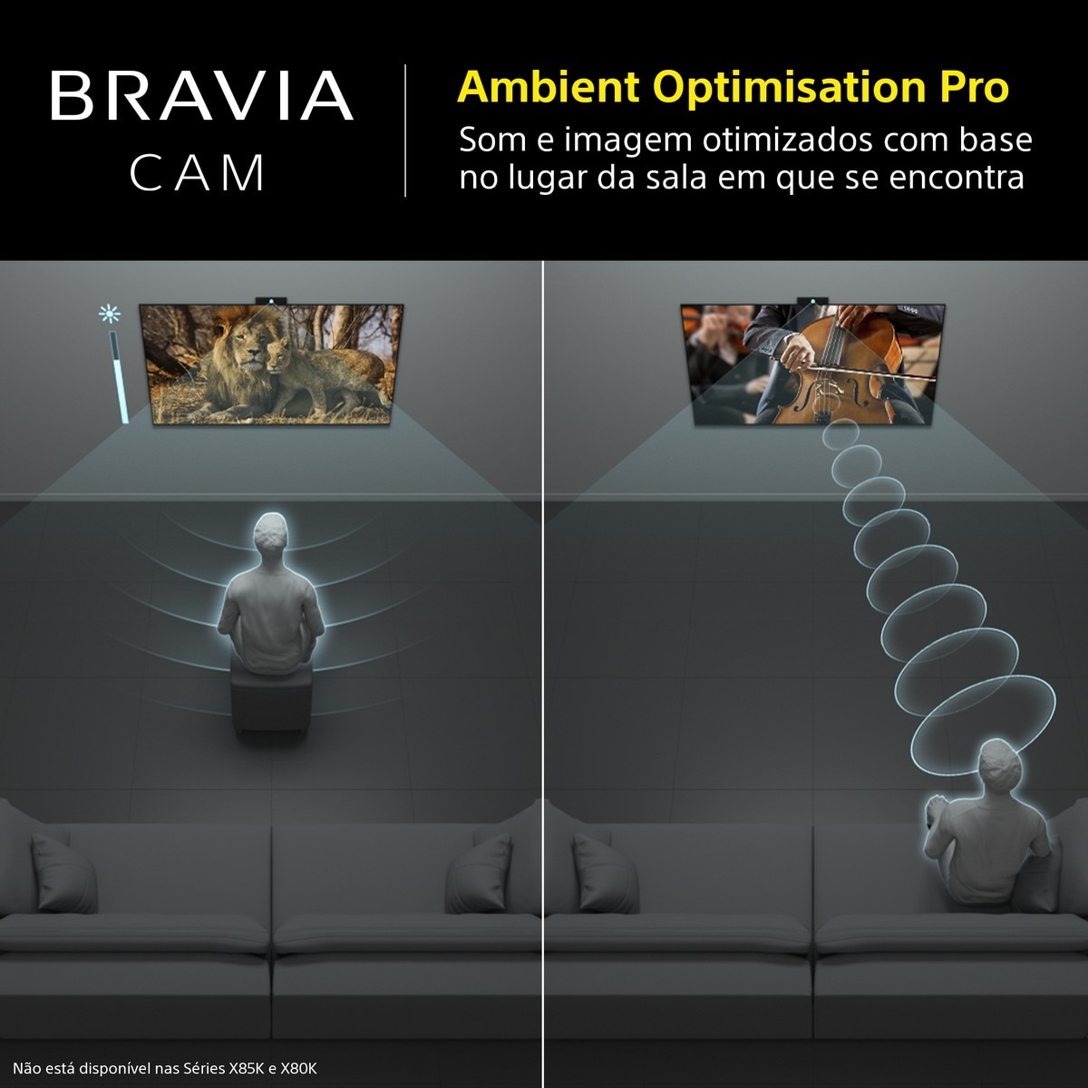 Câmara para TV Sony BRAVIA CAM CMU-BC1 Preto-3