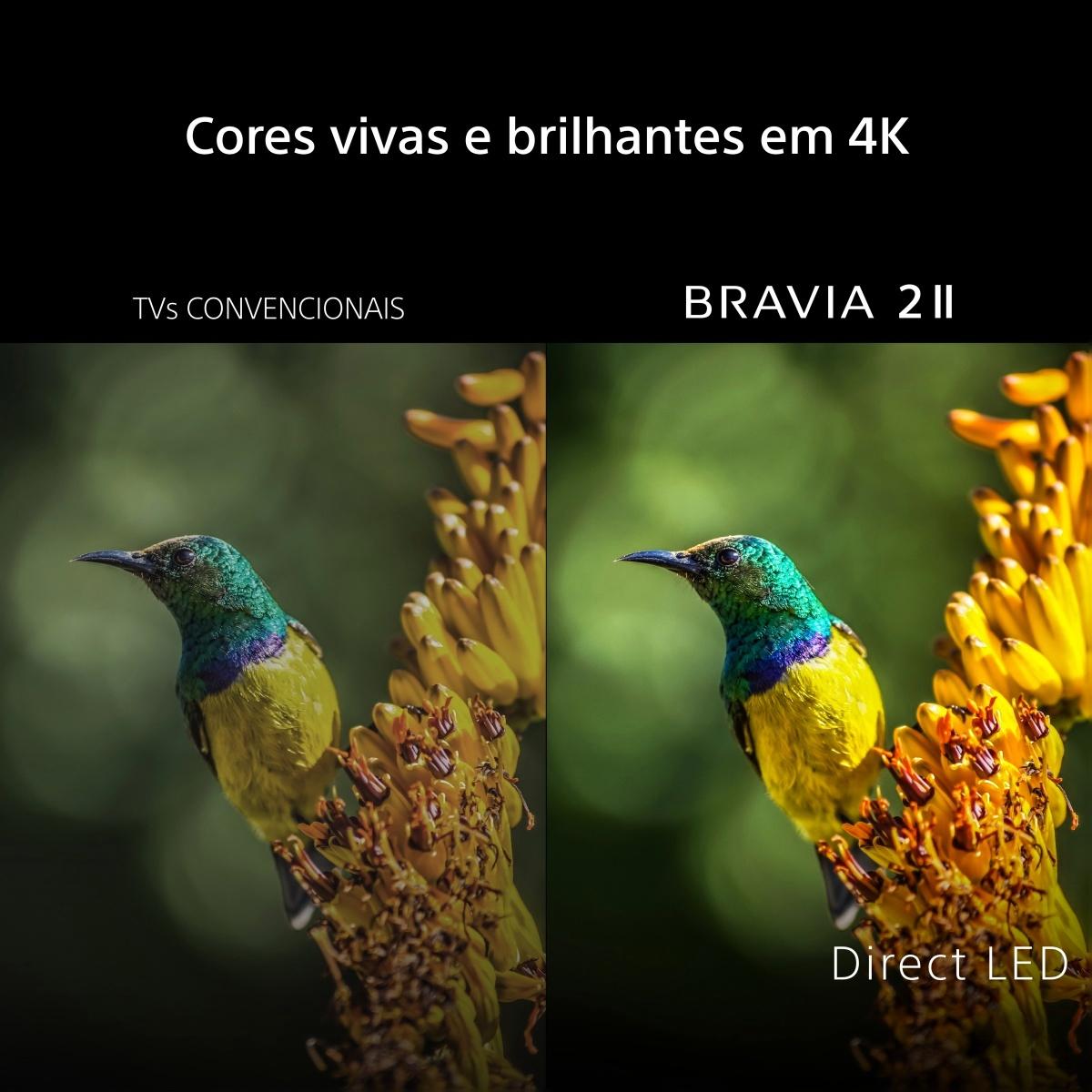 TV LED 65" (164 cm) Sony BRAVIA 2 II  K65S25M2PB.CEI 4K Google Preto-3