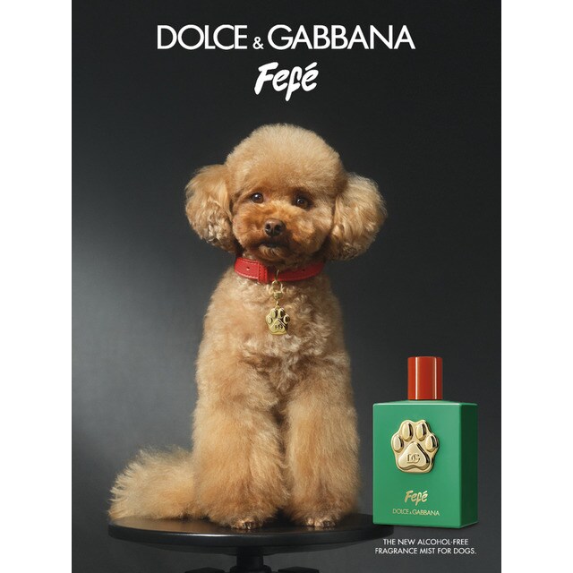 Fefé Fragrância Sem Álcool Para Cães 3