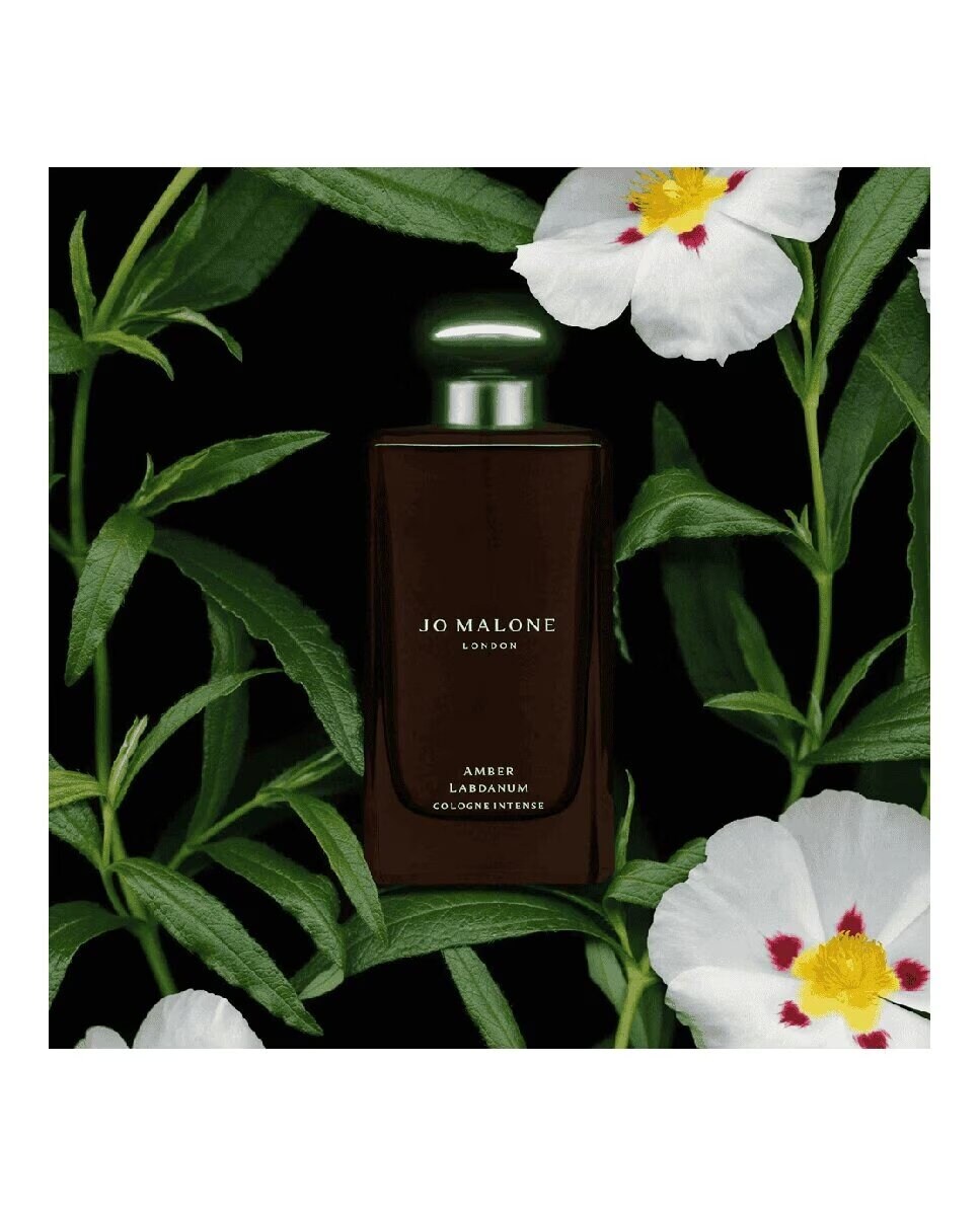 Amber Labdanum Cologne Intense 2