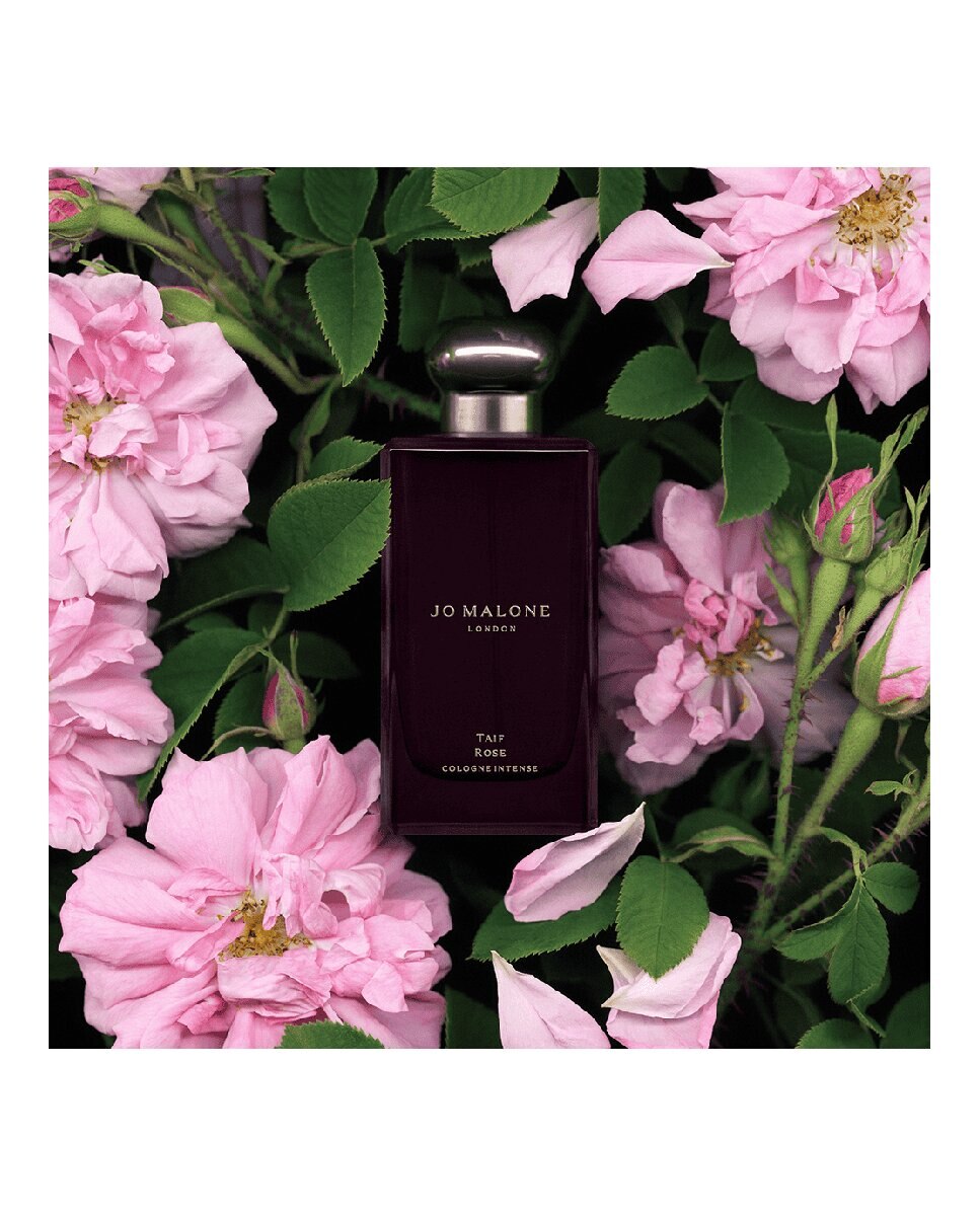 Cologne Intense Taif Rose 2
