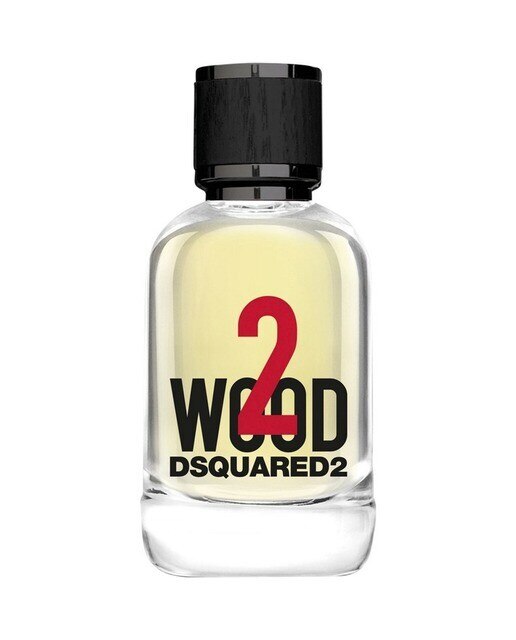 Two Wood Eau de Toilette 100ml Dsquared2 1
