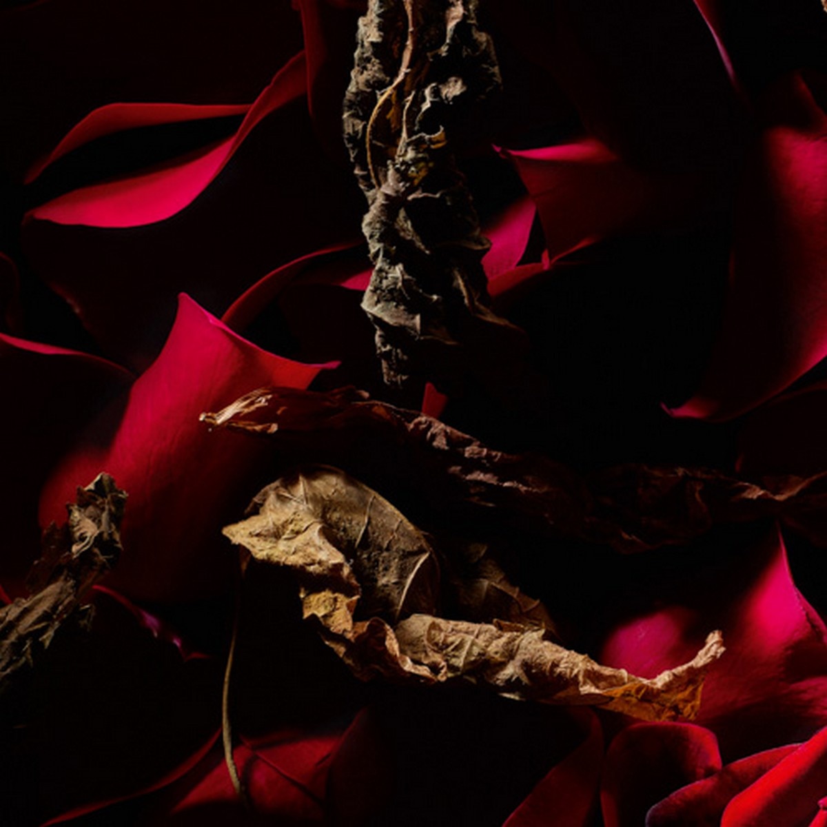 Rouge Velours Le Vestiaire des Parfums Eau de Parfum - 75 ml 5
