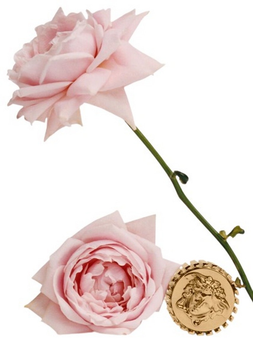 Eclat de Rose Atelier Versace Eau de Parfum - 100 ml 4