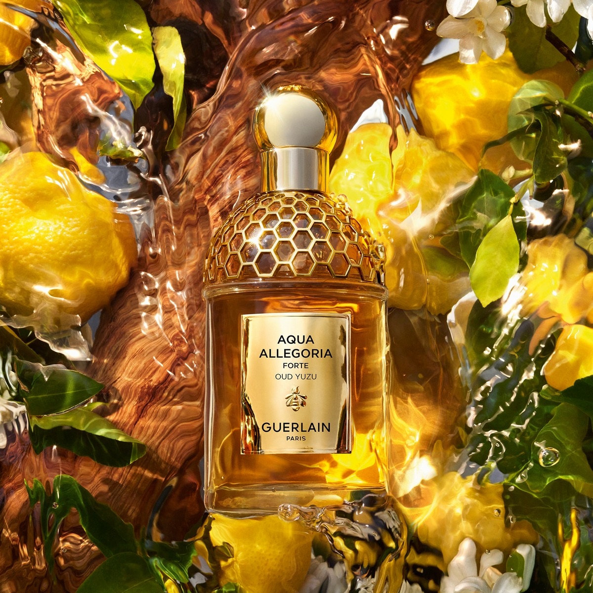 Aqua Allegoria Forte Oud Yuzu Eau de Parfum - 75 ml 3