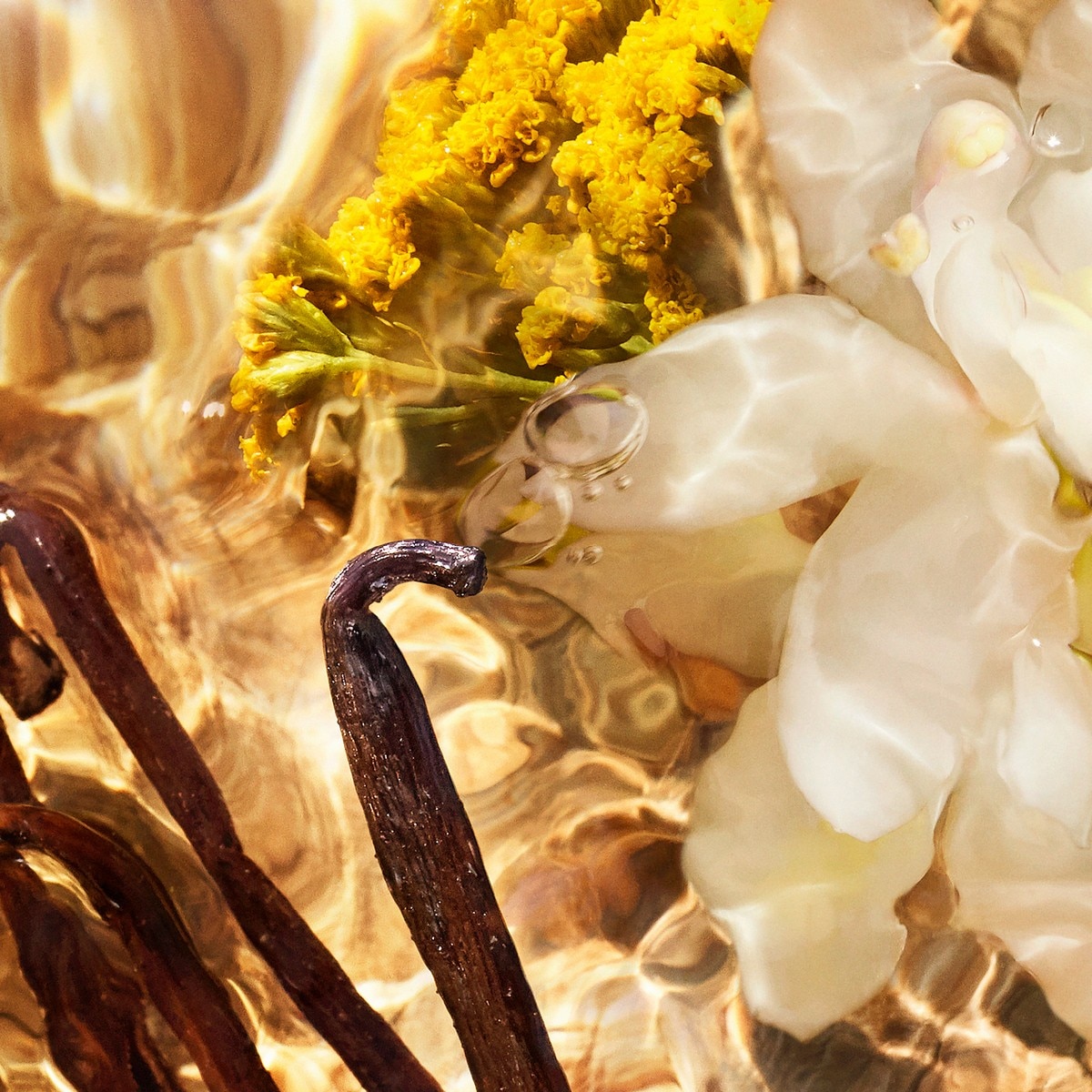 Recarga Aqua Allegoria Forte Bosca Vanilla Eau de Parfum 3