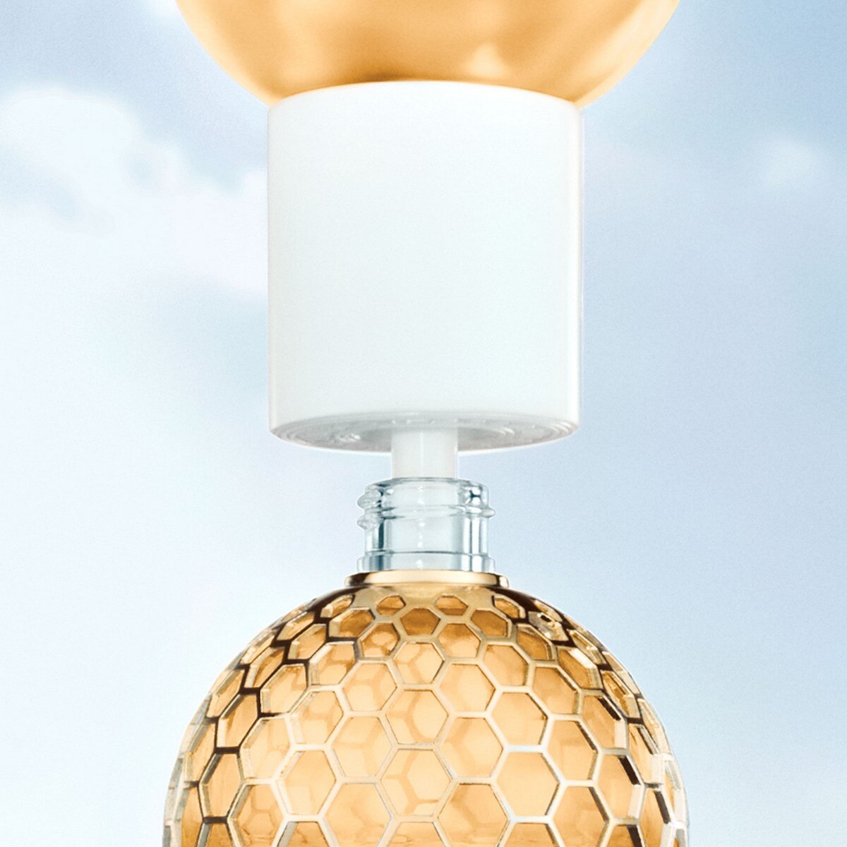 Recarga Aqua Allegoria Forte Bosca Vanilla Eau de Parfum 5