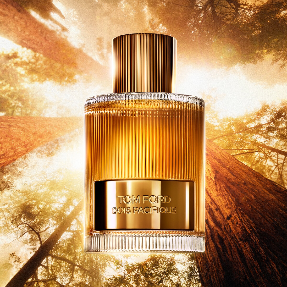 Bois Pacifique Eau de Parfum 2
