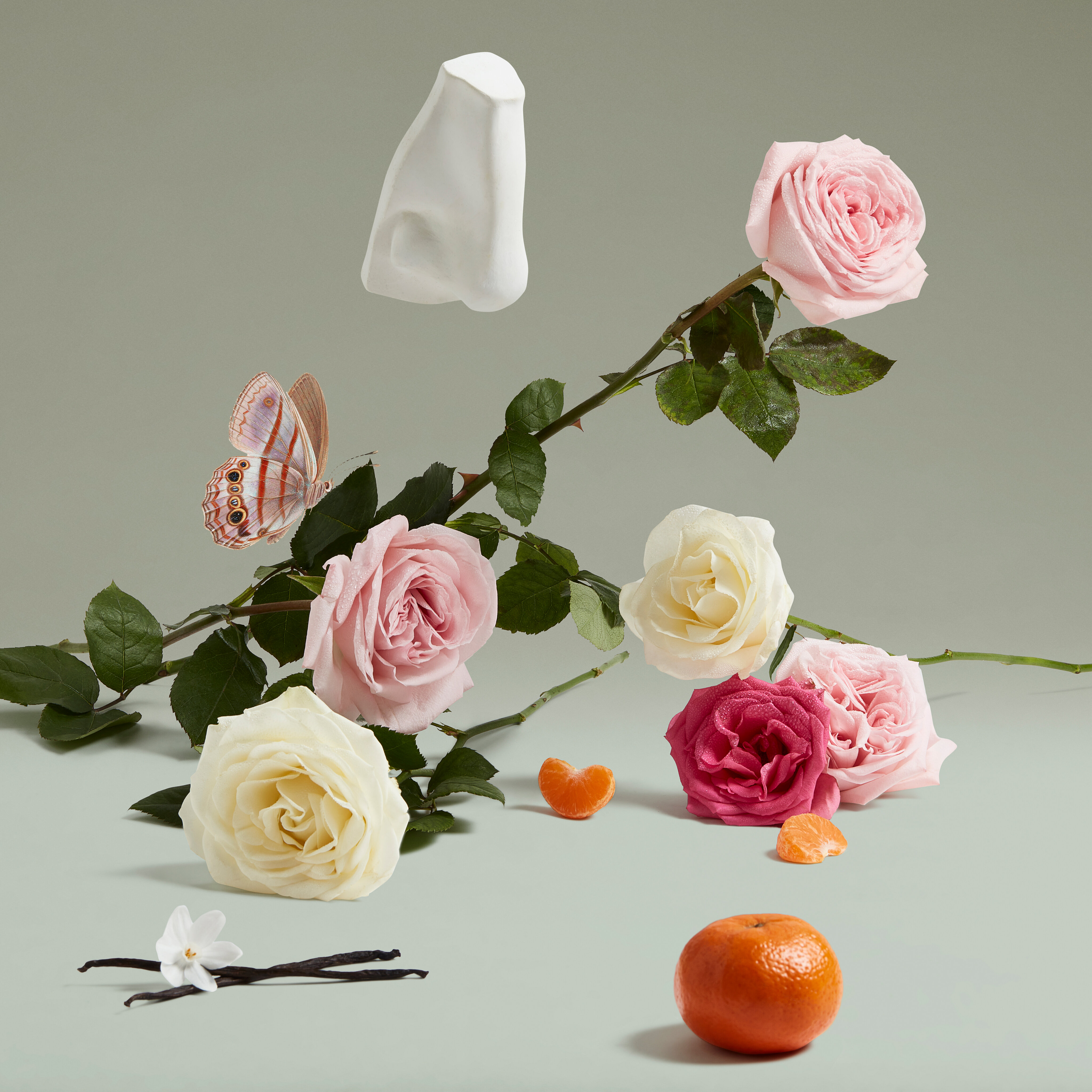 Duchess Rose Eau de Parfum 3