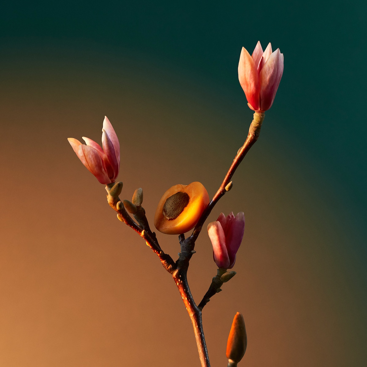 Vra Vra Vroom Potions & Remedies Eau de Parfum - 100 ml 4