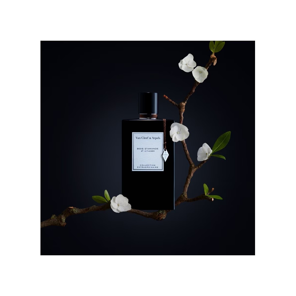 Eau de Parfum Collection Extraordinaire Bois D' Amande 75 ml 3
