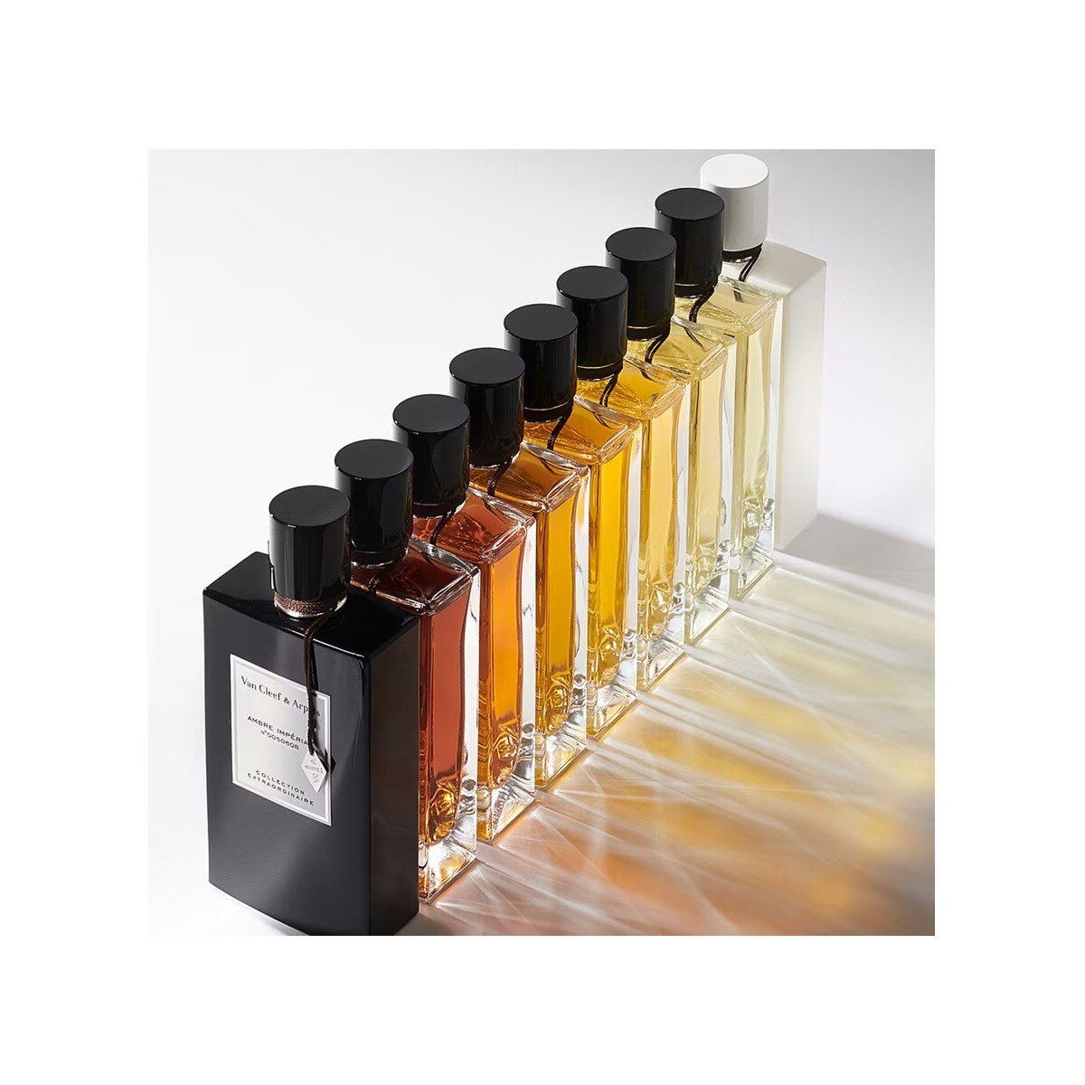 Eau de Parfum Orchid Leather 75 ml 4