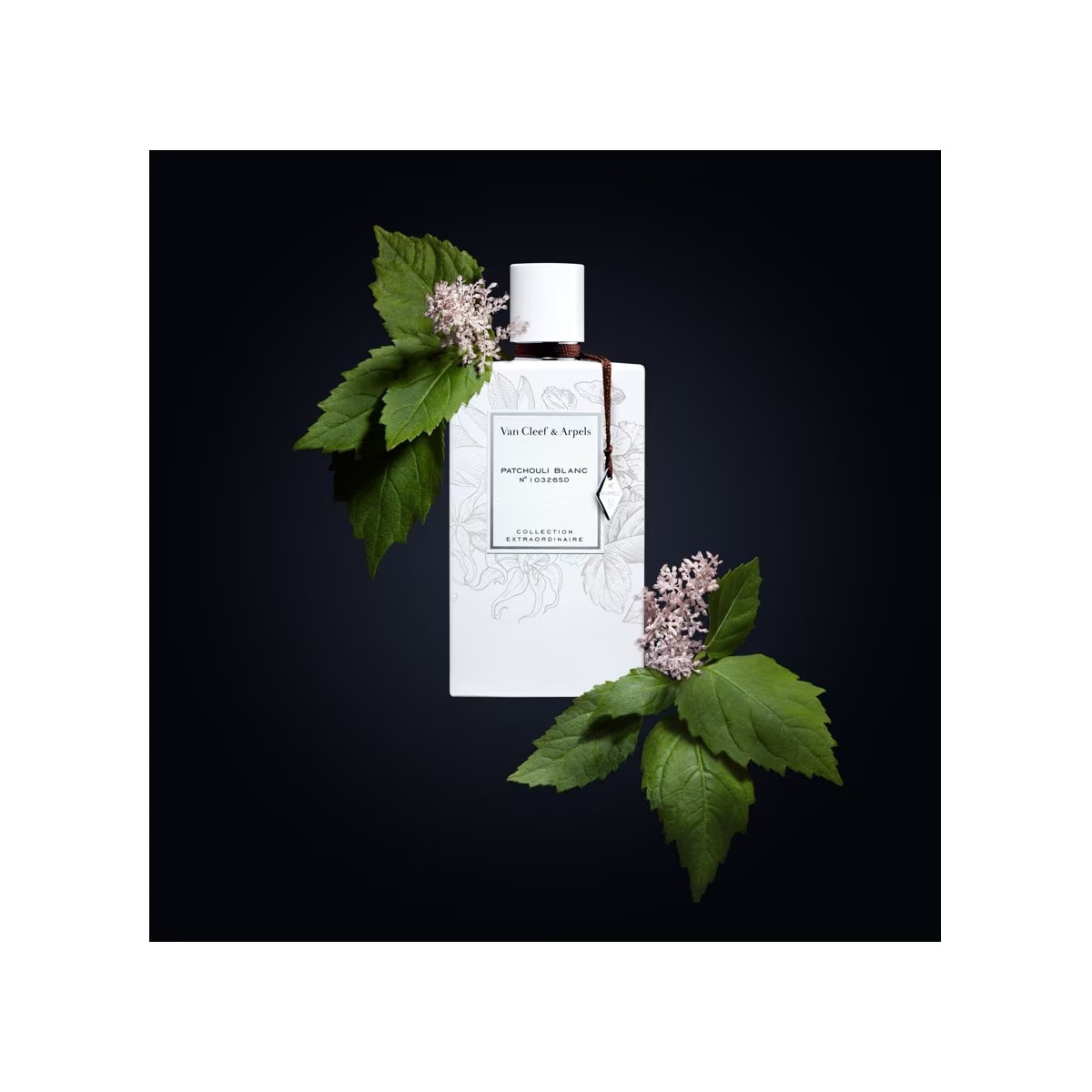 Eau de Parfum Patchouli Blanc 75 ml 3