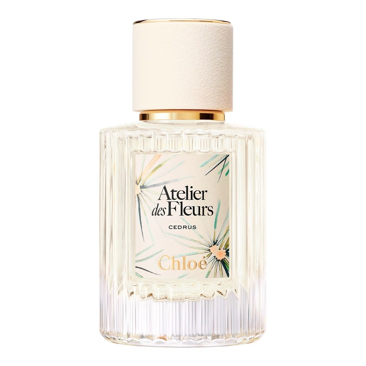Atelier des Fleurs Cedrus Eau de Parfum 50 ml 1