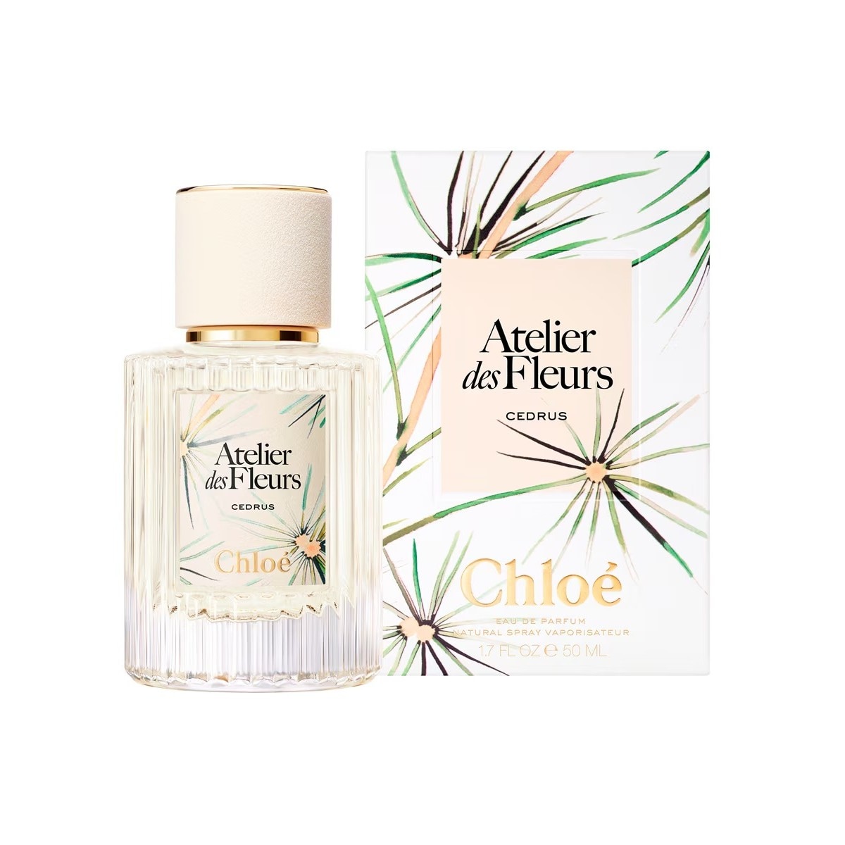 Atelier des Fleurs Cedrus Eau de Parfum 50 ml 2