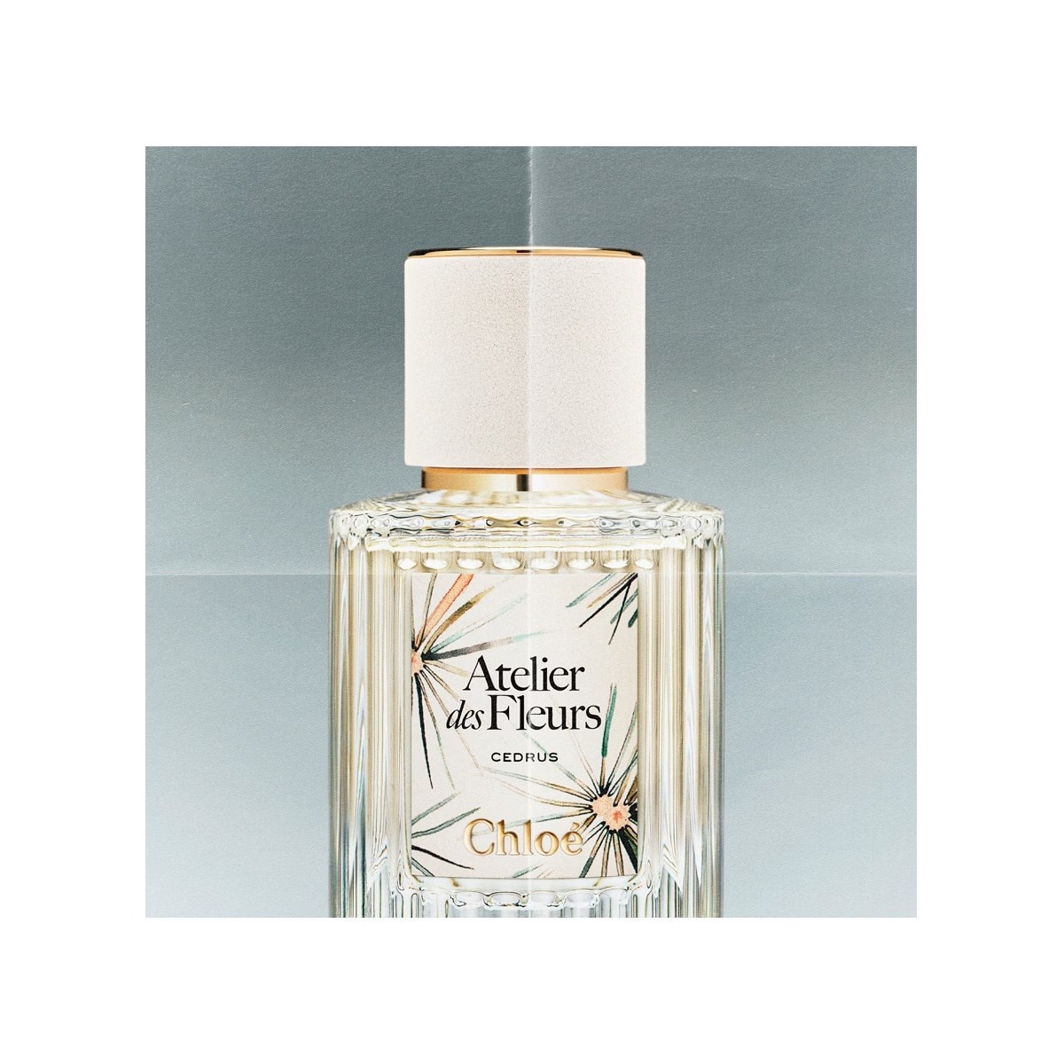 Atelier des Fleurs Cedrus Eau de Parfum 50 ml 5