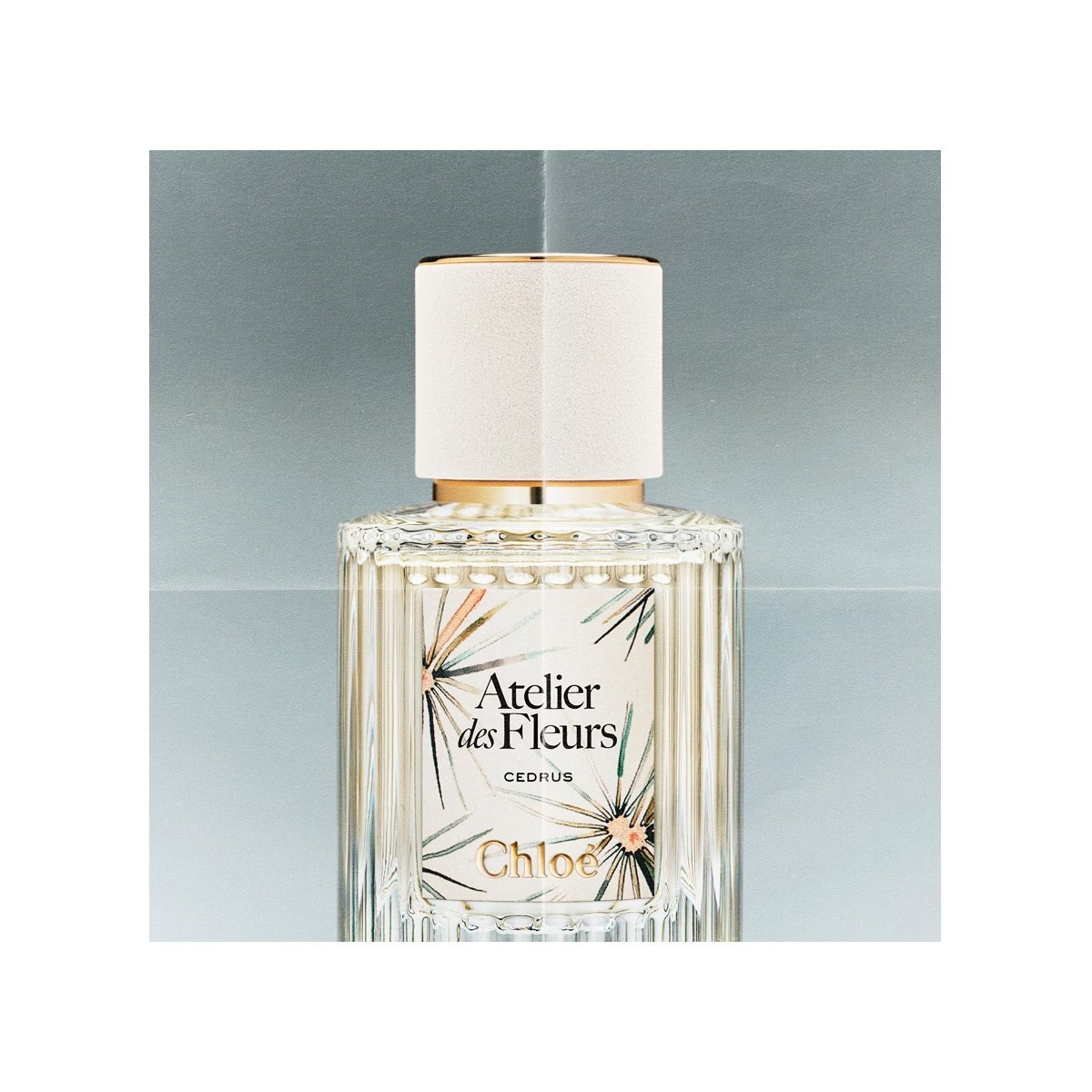 Atelier des Fleurs Cedrus Eau de Parfum 50 ml 5