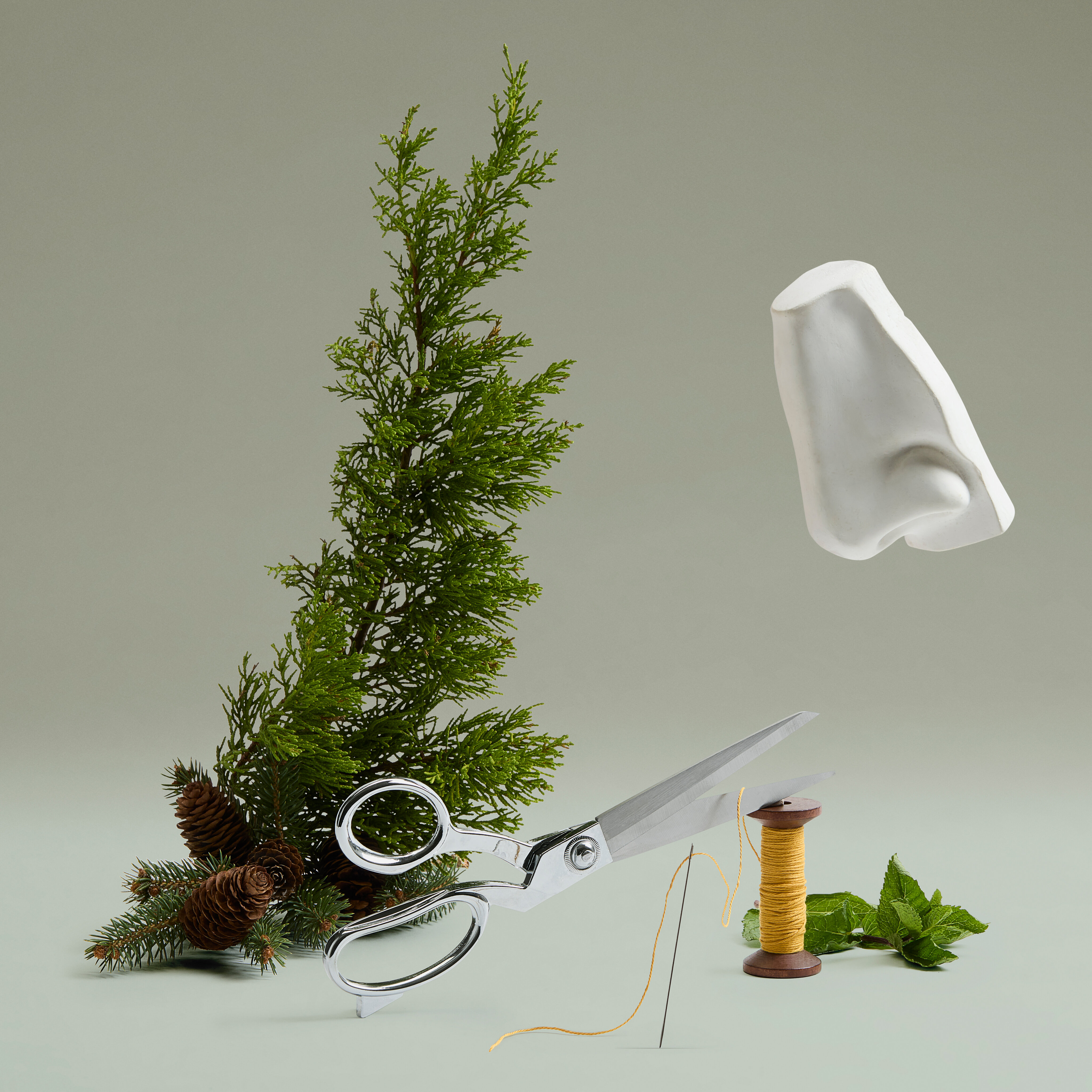 The Cut Eau de Parfum 5