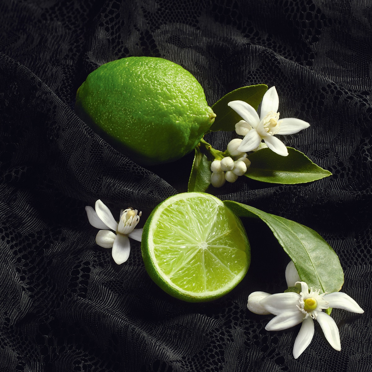 Sicily Re-Edition Eau De Parfum 5