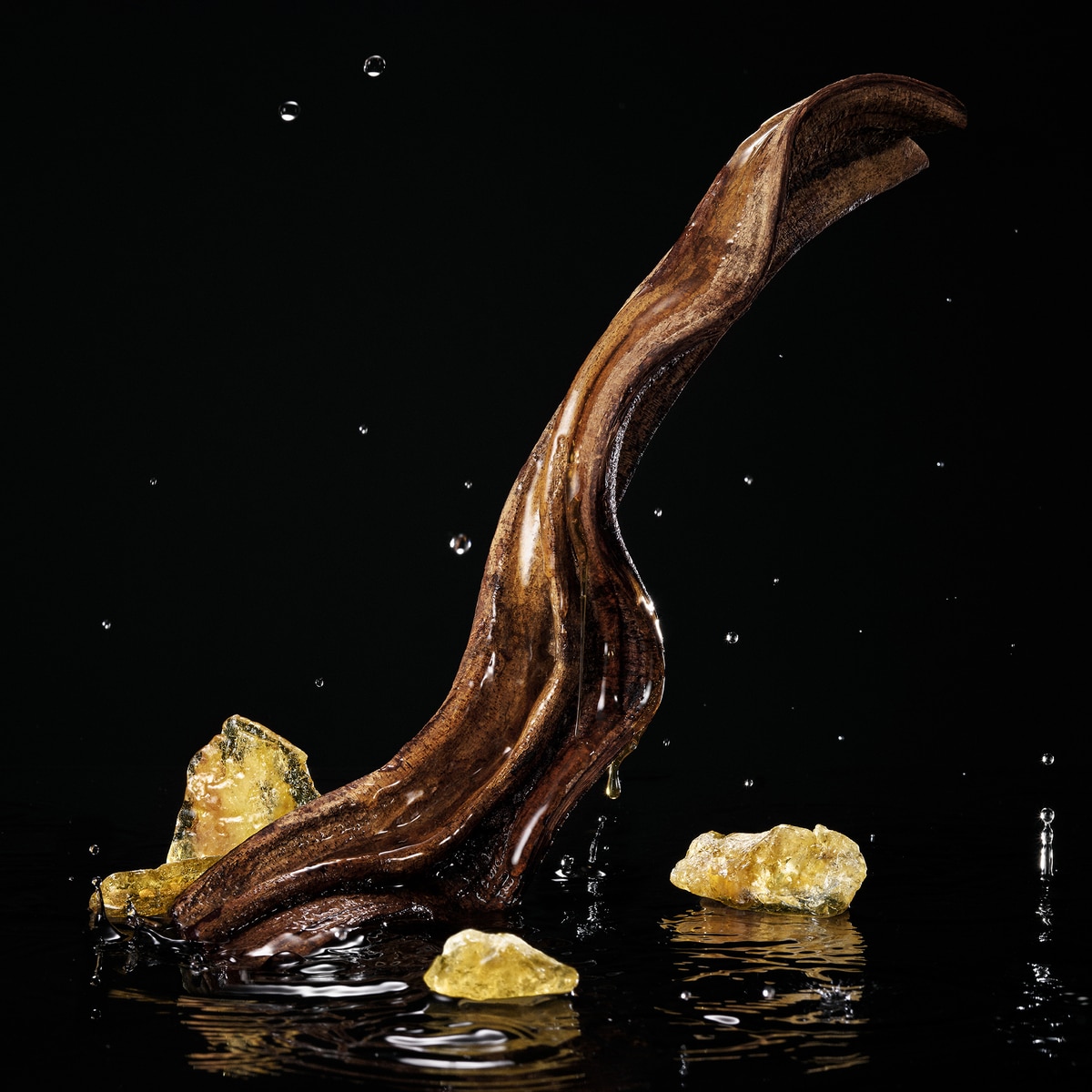 Velvet Honey Santal Eau De Parfum 5