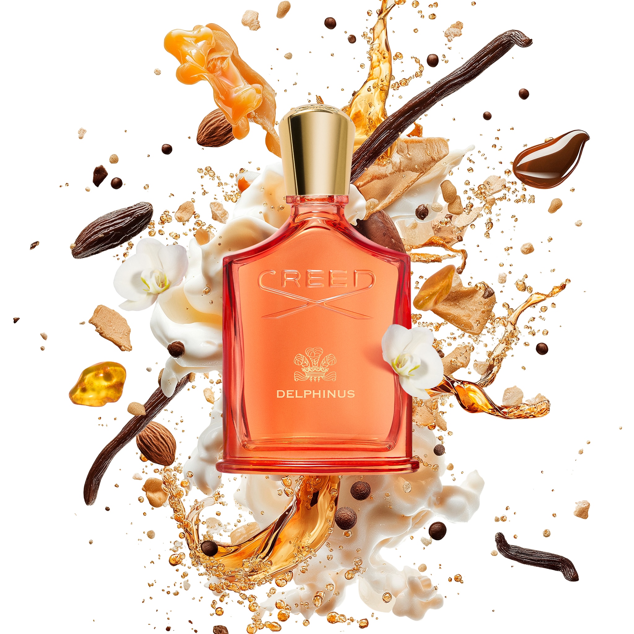 Delphinus Eau de Parfum 2