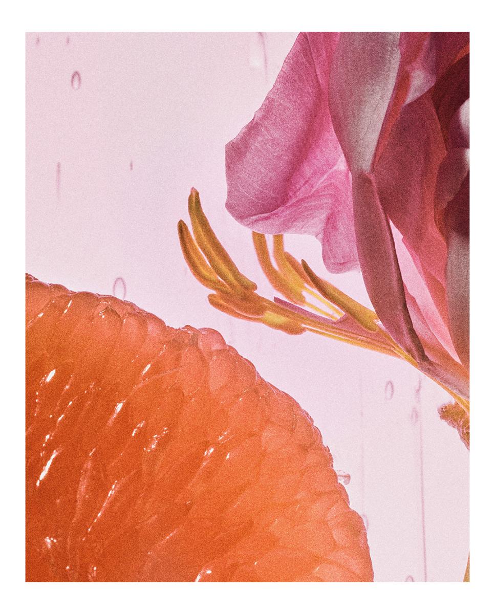 Rosetopia Eau de Parfum 3