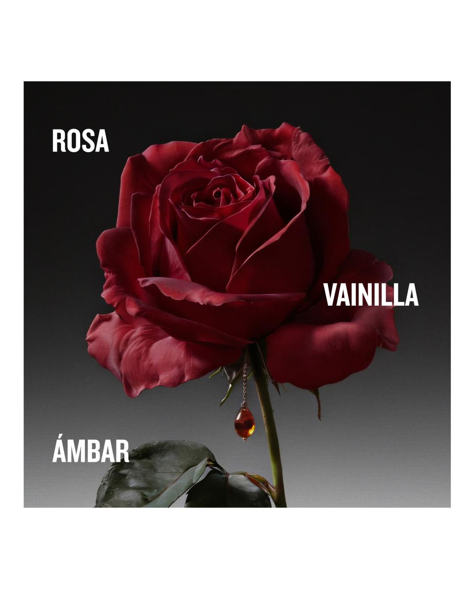 The Coveted Duchess Rose Eau de Parfum Intense 3