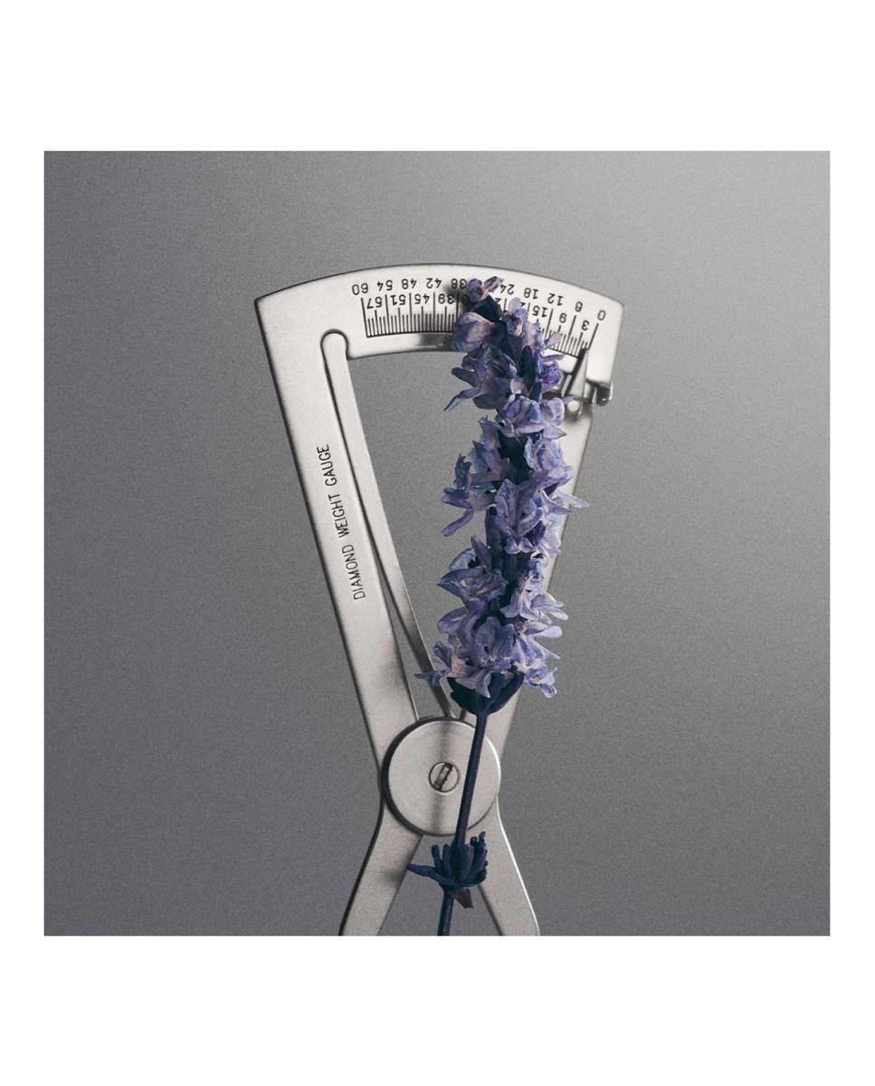 Creed Iris Debonair Eau de Parfum 5