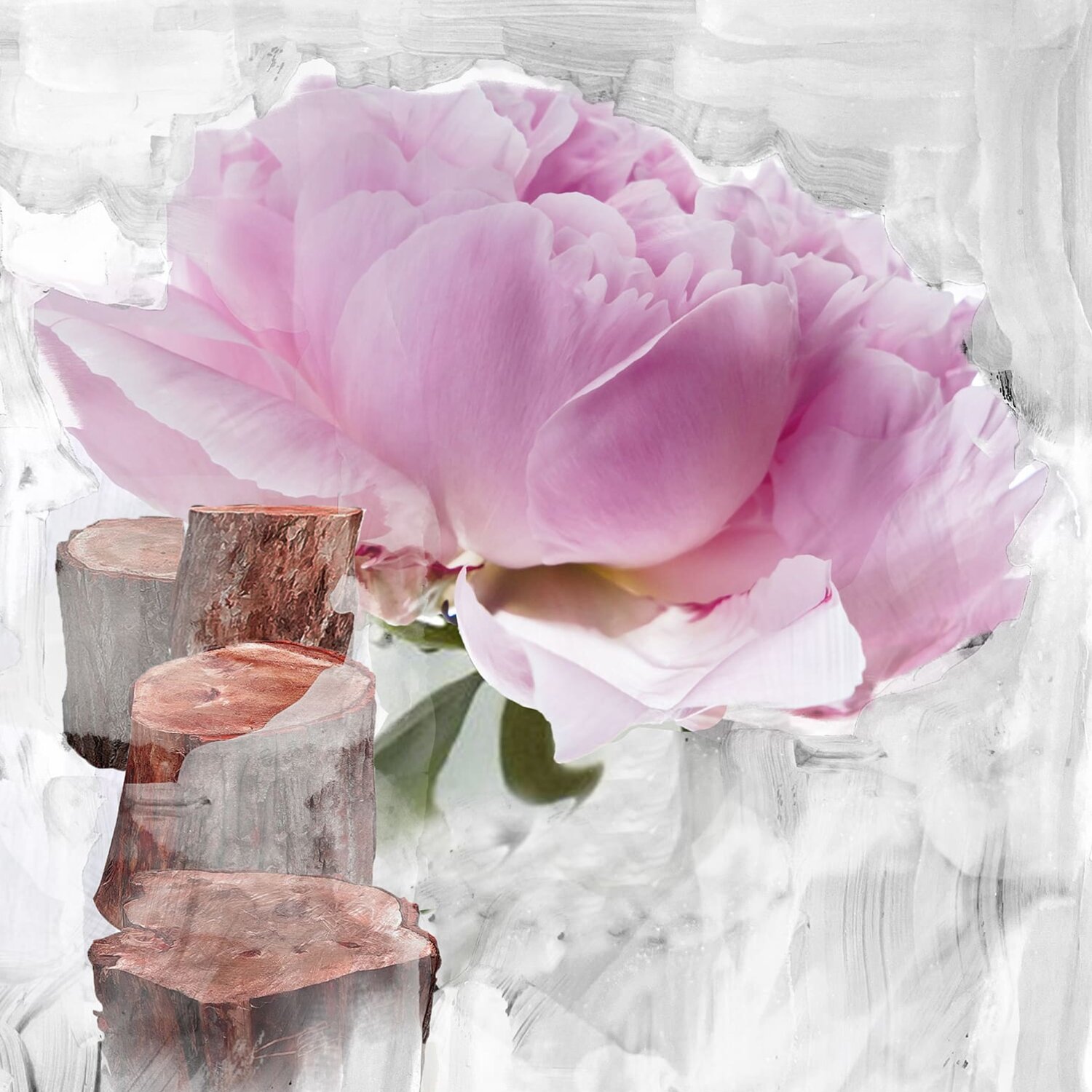 Loção Corporal Blanche 3