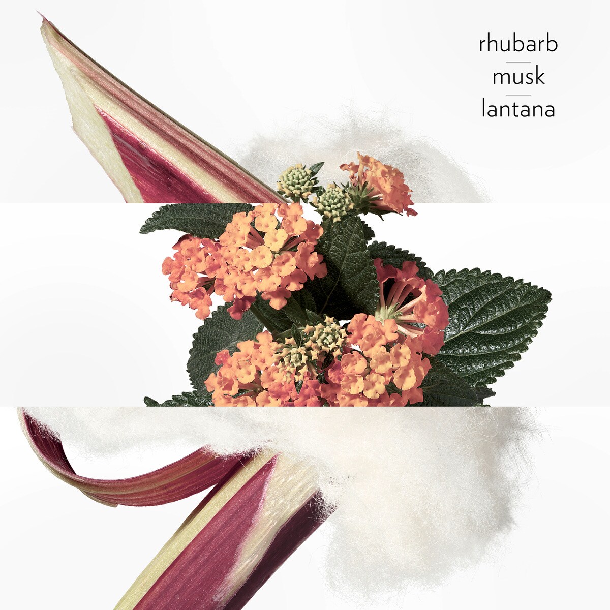 Eau de Rhubarbe Écarlate Eau de Cologne 2