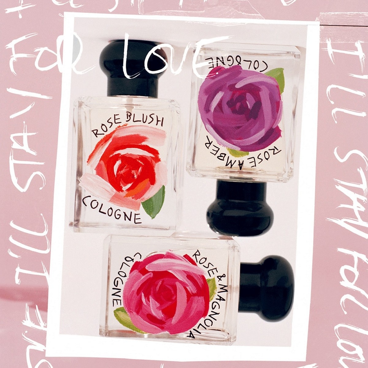 Rose Amber Cologne - Edição Limitada - 50 ml 4