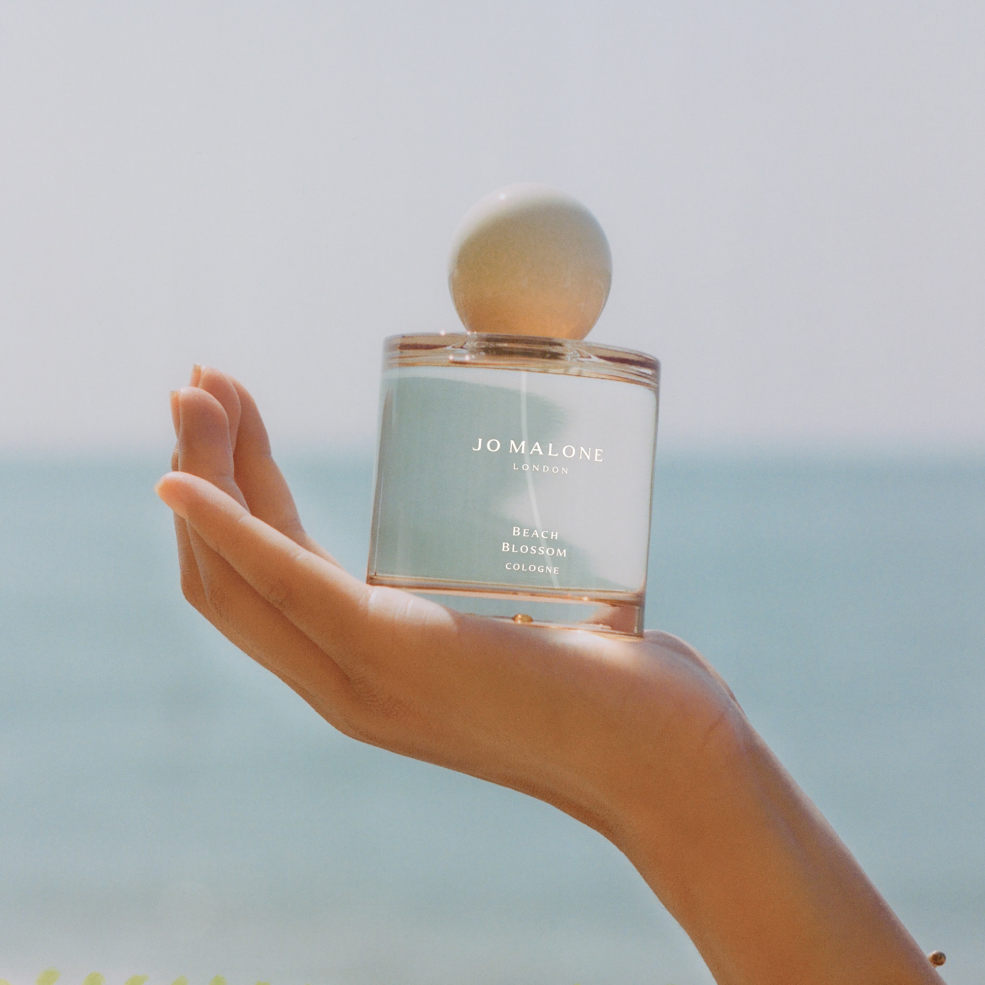 Beach Blossom Cologne 3