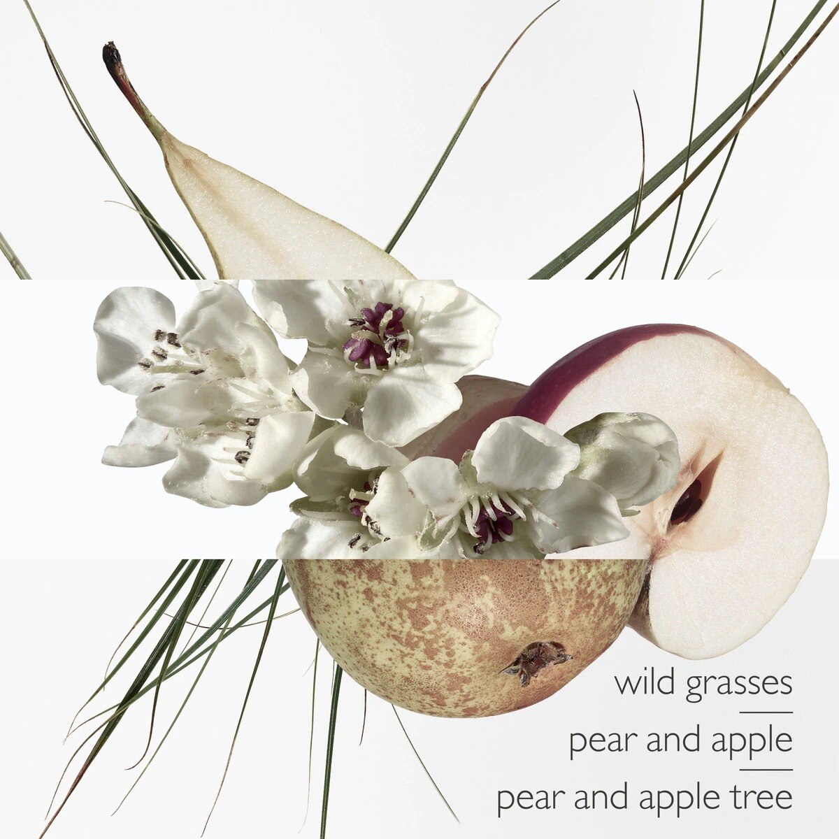 Un Jardin sur le Toit Eau de Toilette 4