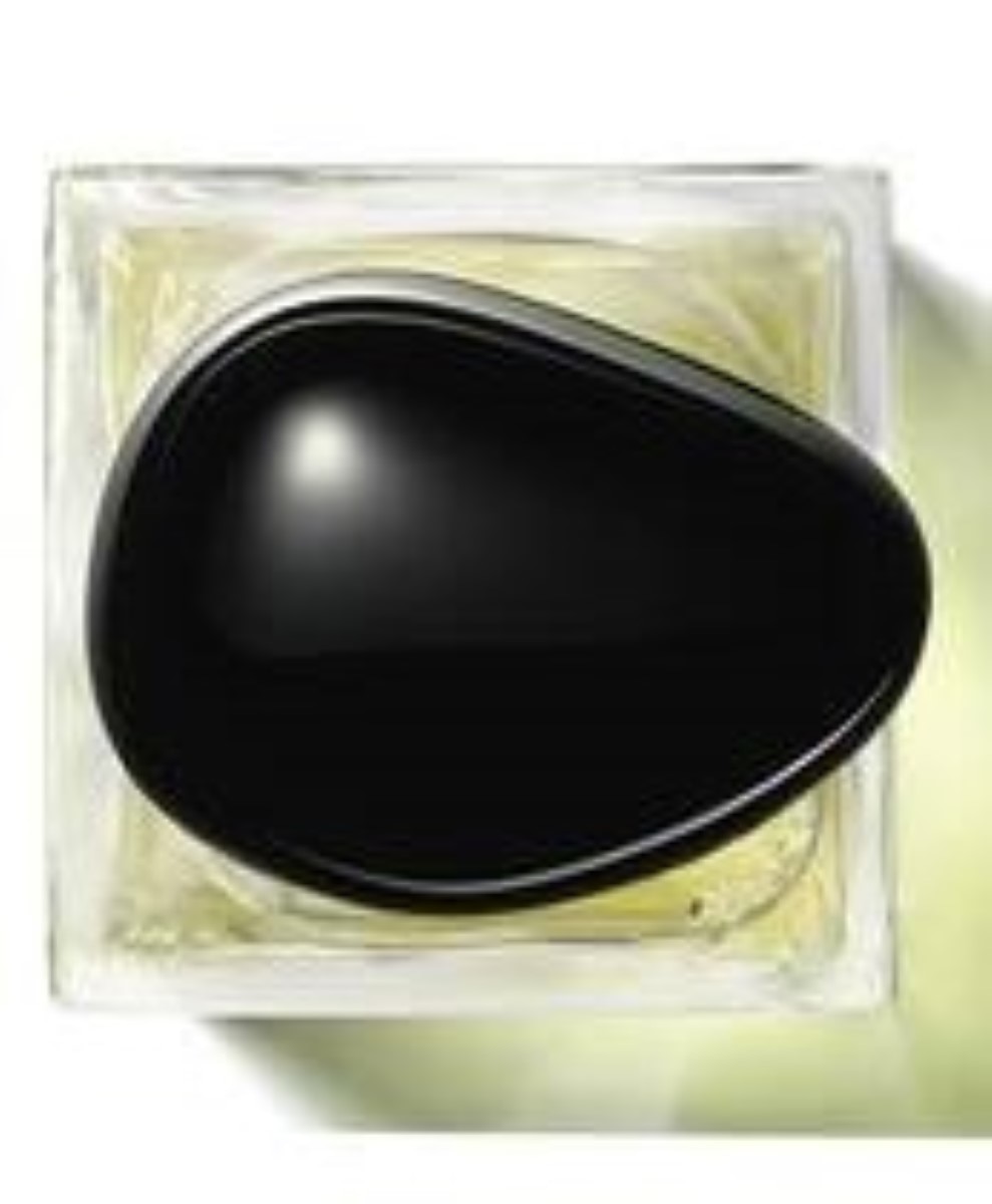 Thé Yulong Eau de Toilette Armani Privé 100ml Giorgio Armani 3