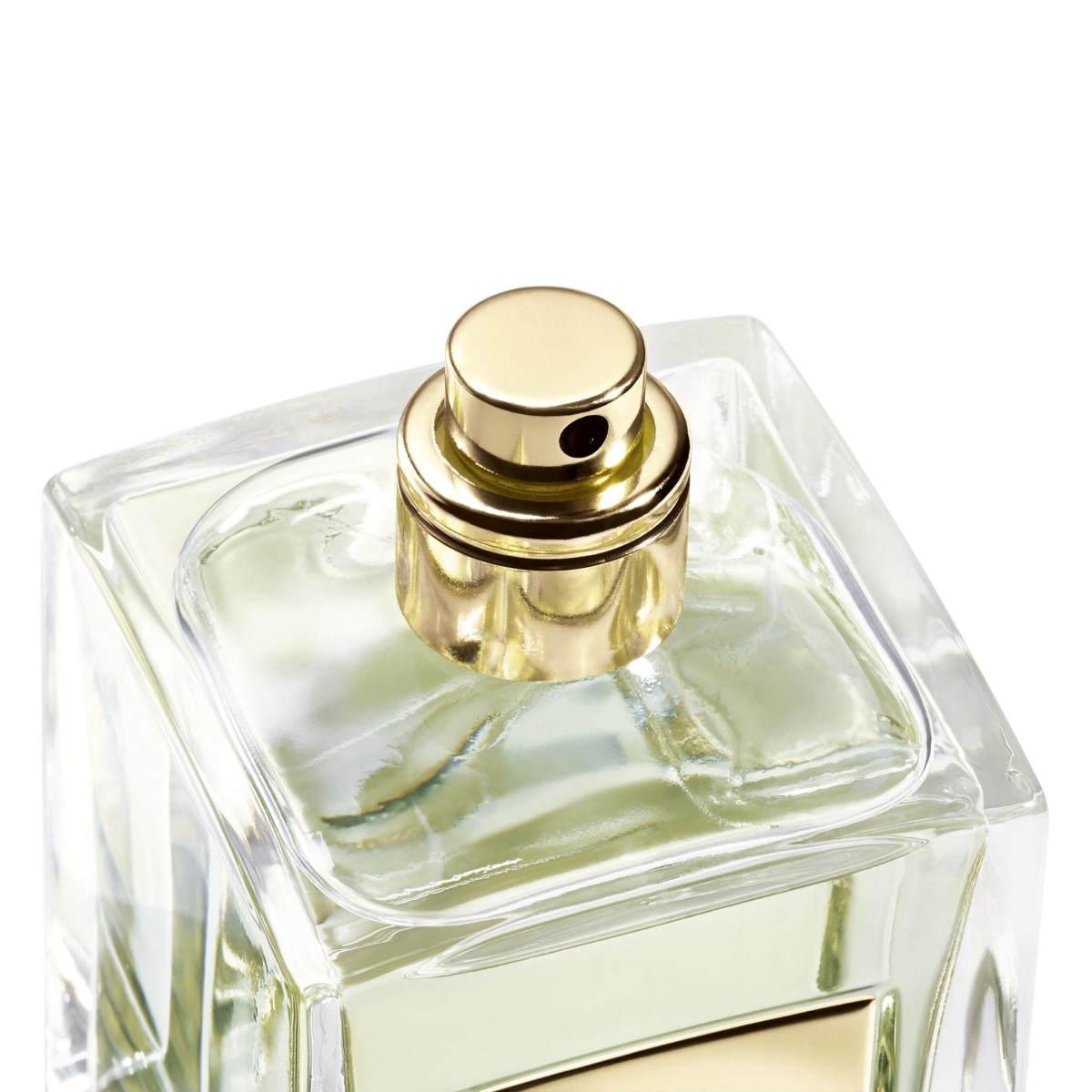 Thé Yulong Eau de Toilette Armani Privé - 50 ml 4