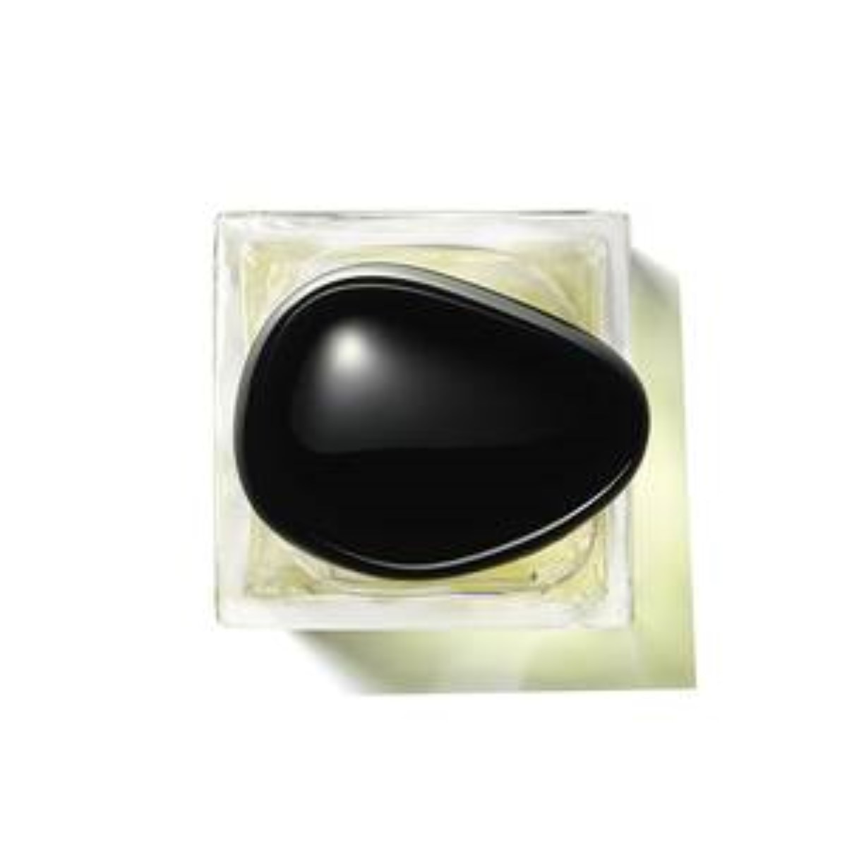 Gardénia Antigua Eau de Toilette Armani Privé 50ml Giorgio Armani 4