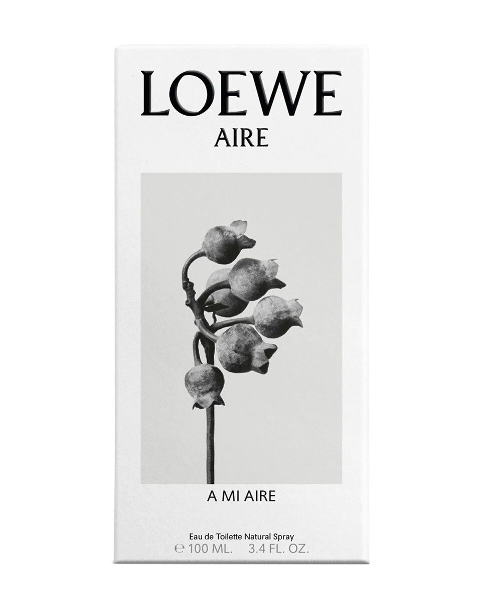 A Mi Aire Eau de Toilette - 100 ml 3