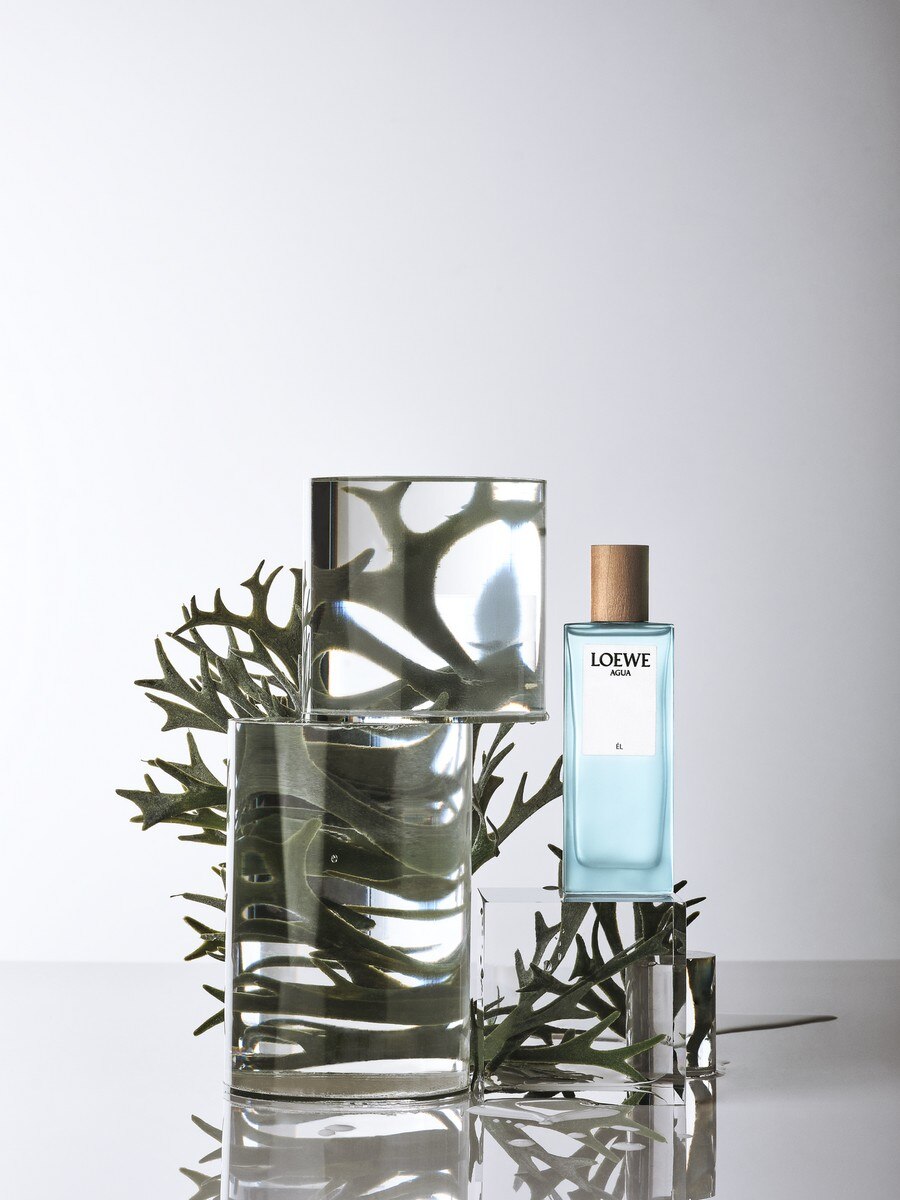 Agua El Eau de Toilette 3