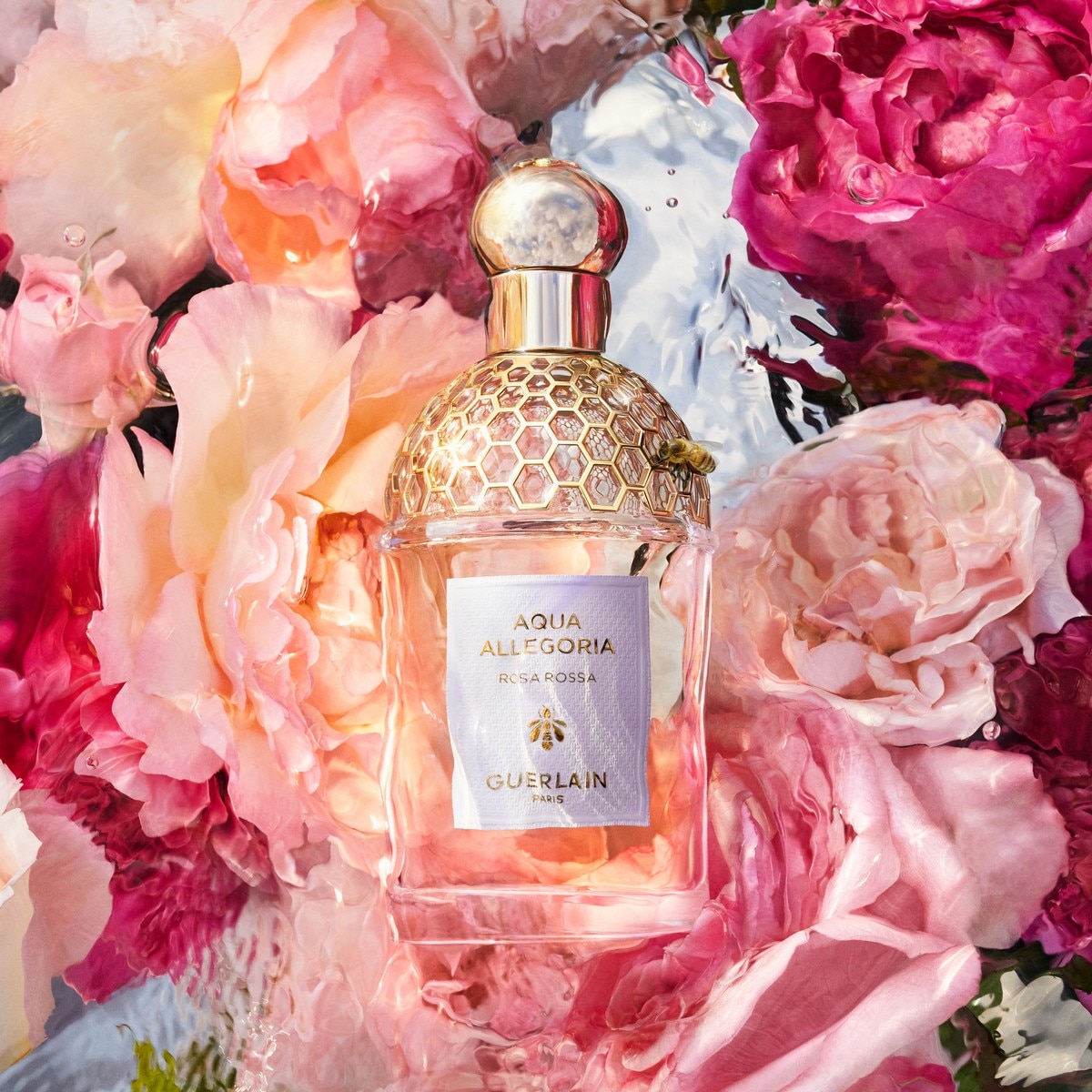 Aqua Allegoria Rosa Rossa Eau de Toilette - 75 ml 3