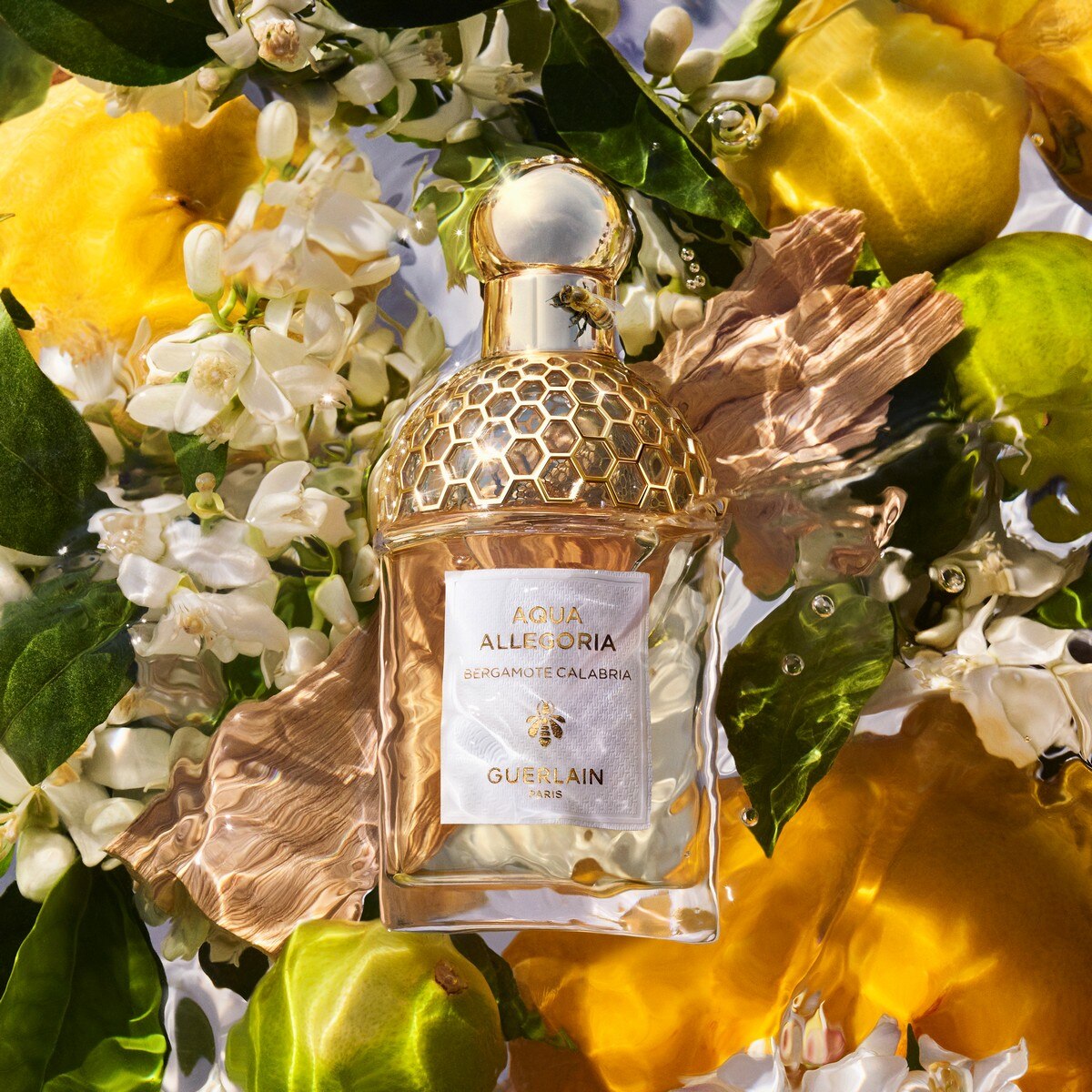 Aqua Allegoria Bergamote Calabria Eau de Toilette - 75 ml 3