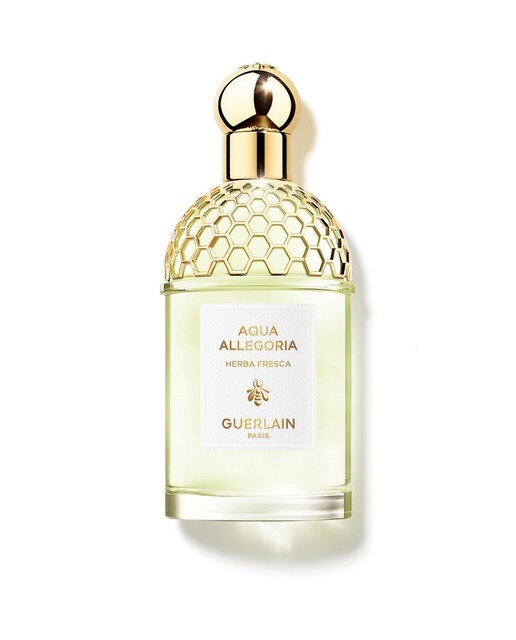 Imagem 0 de Aqua Allegoria Herba Fresca Eau de Toilette - 125 ml