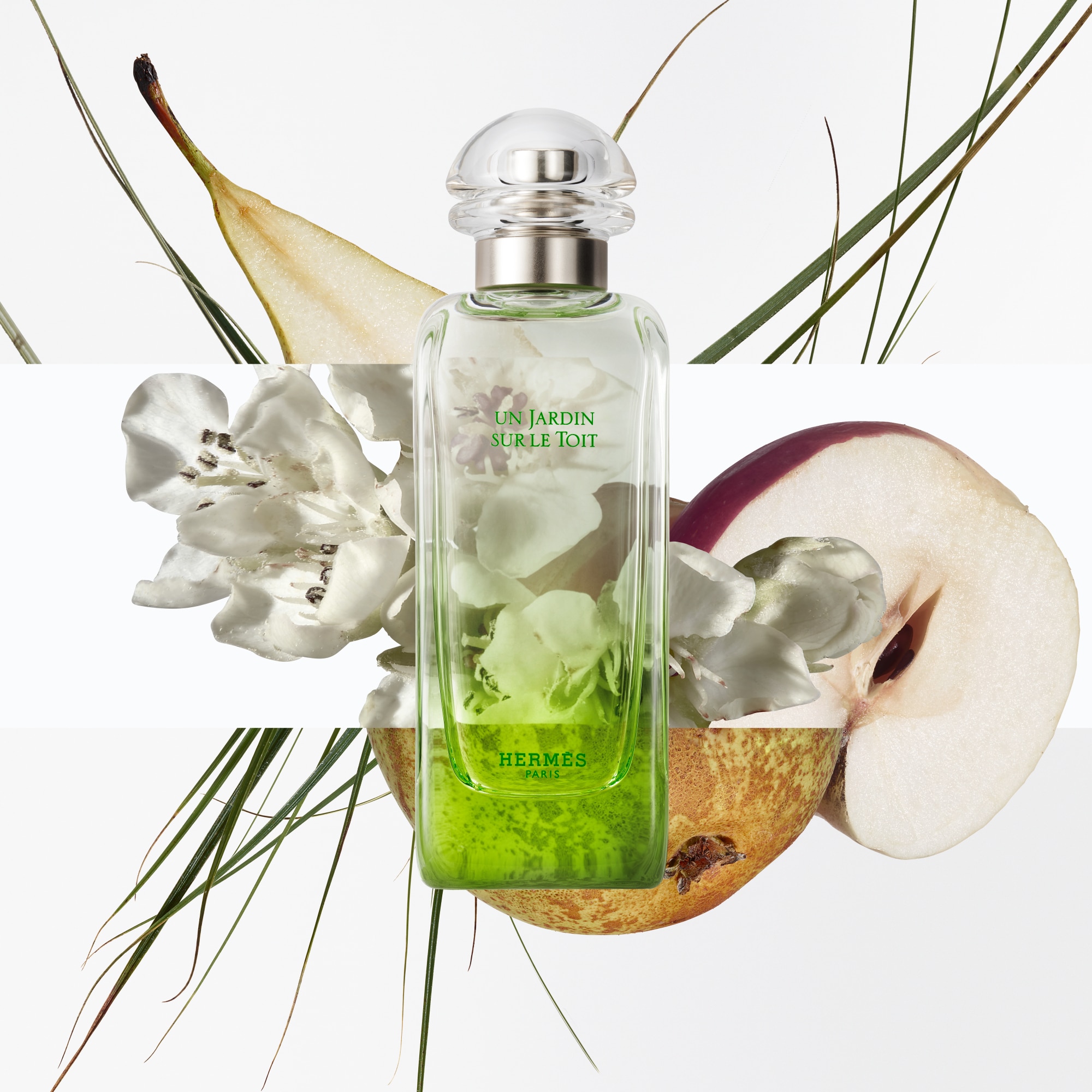 Recarga Un Jardin sur le Toit Eau de Toilette 4