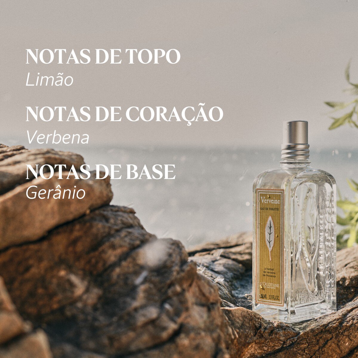 Verbena Eau de Toilette - 100 ml 4