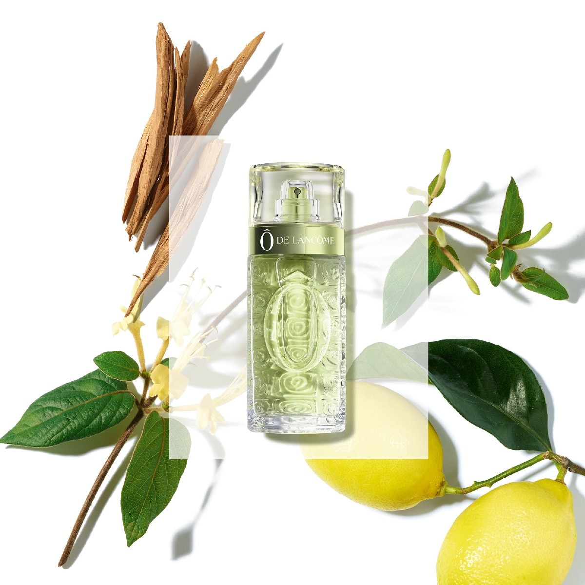 Ô de Lancôme Eau de Toilette - 125 ml 4