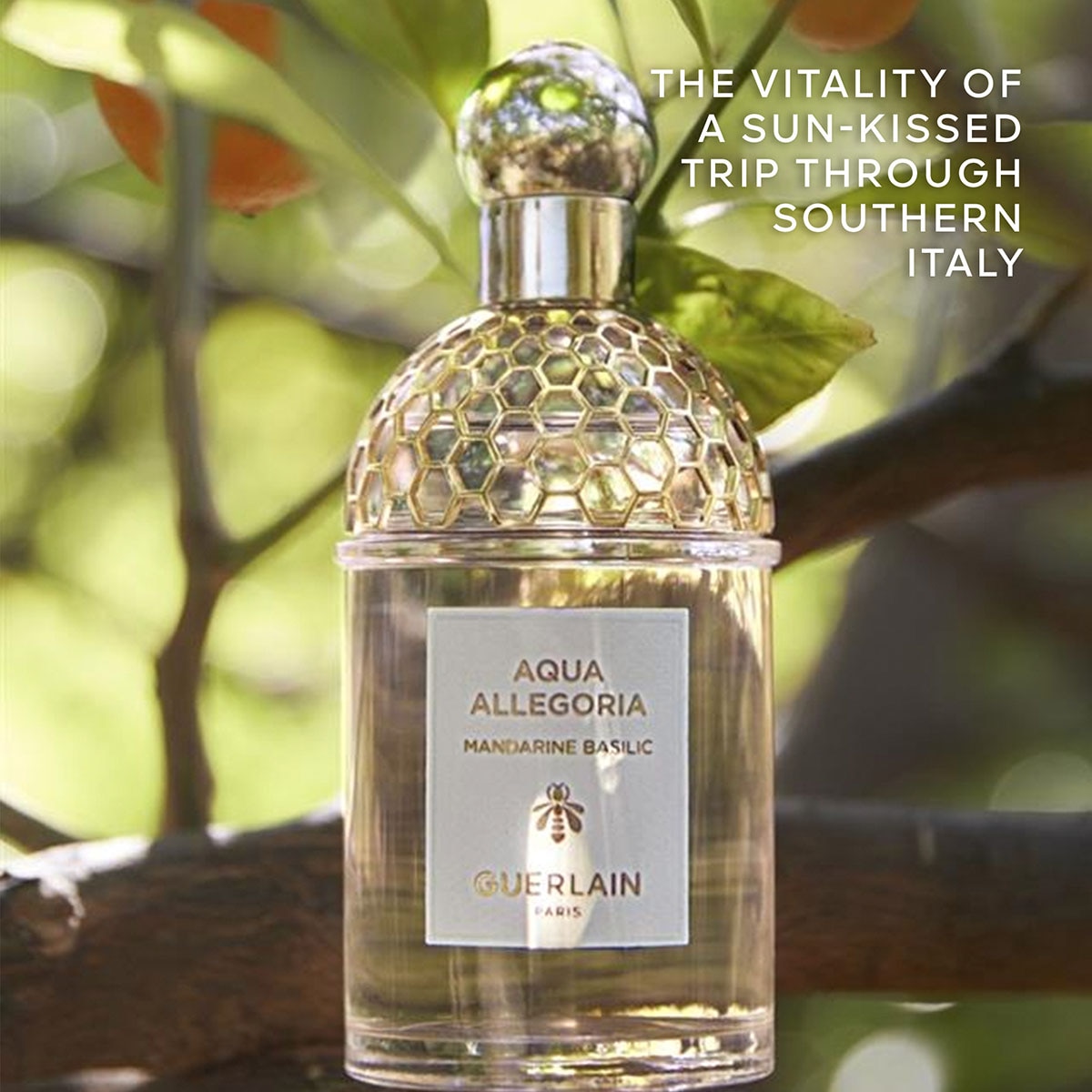 Aqua Allegoria Mandarine Basilic Eau de Toilette 4